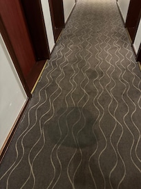Stained hallway carpet