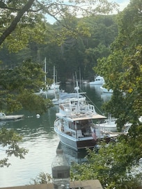 One view from the dining room.