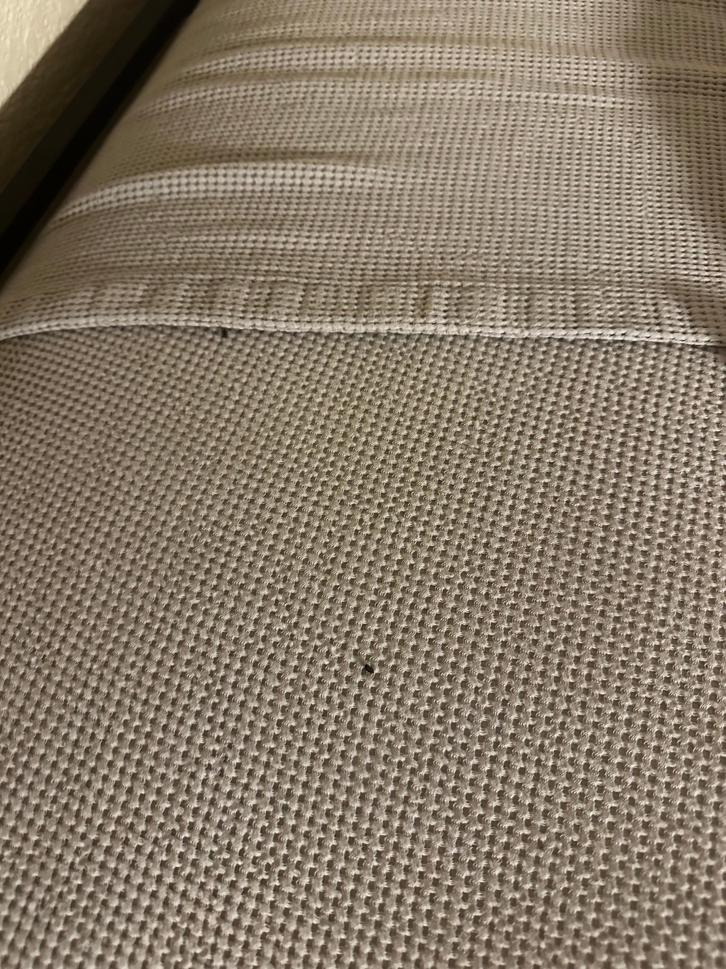 One of the two upper bunks. Both upper bunks had mouse poop.