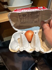 Egg carton left on kitchen shelf