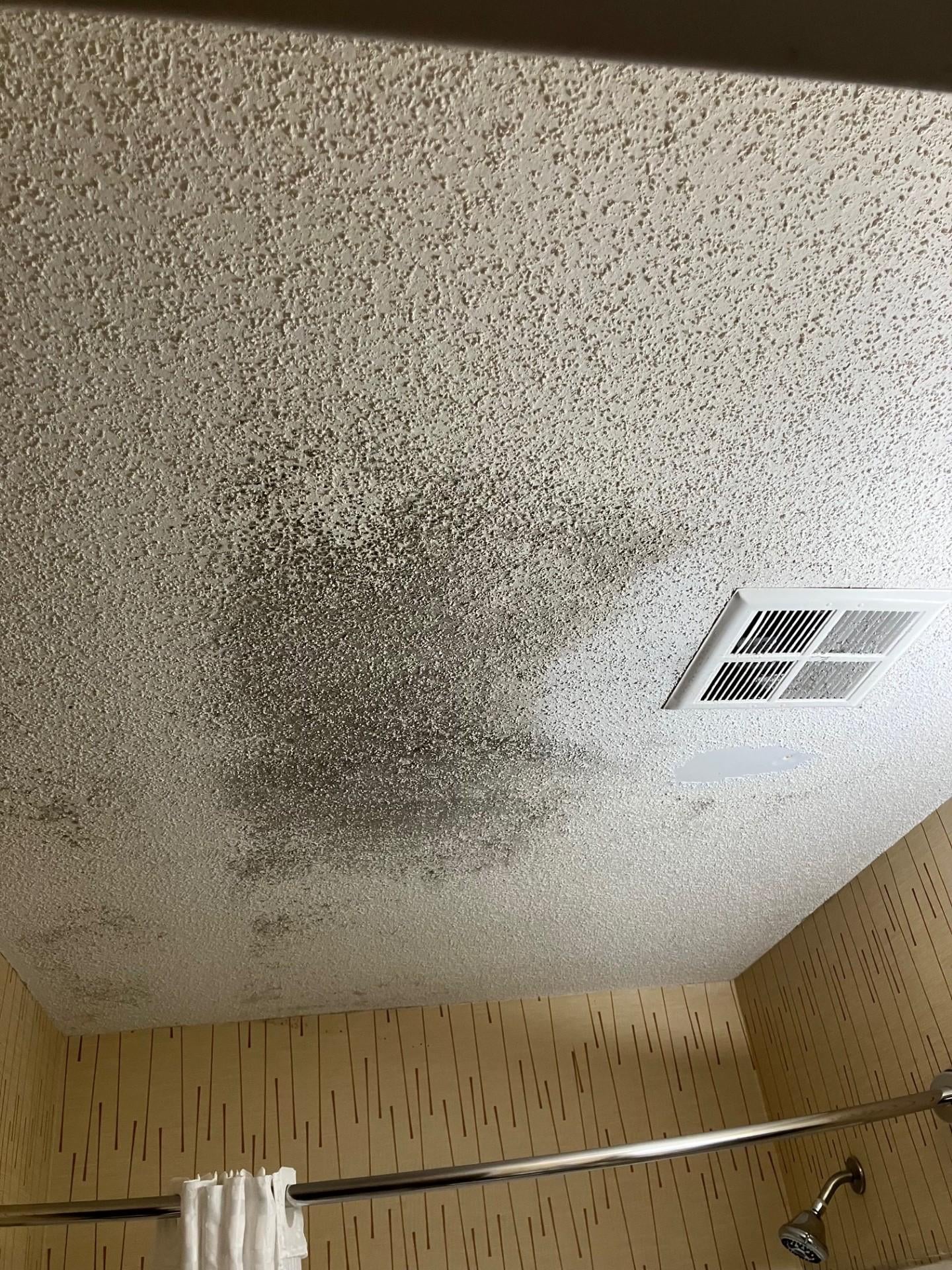 Black mold on bathroom ceiling