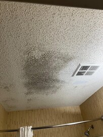 Black mold on bathroom ceiling