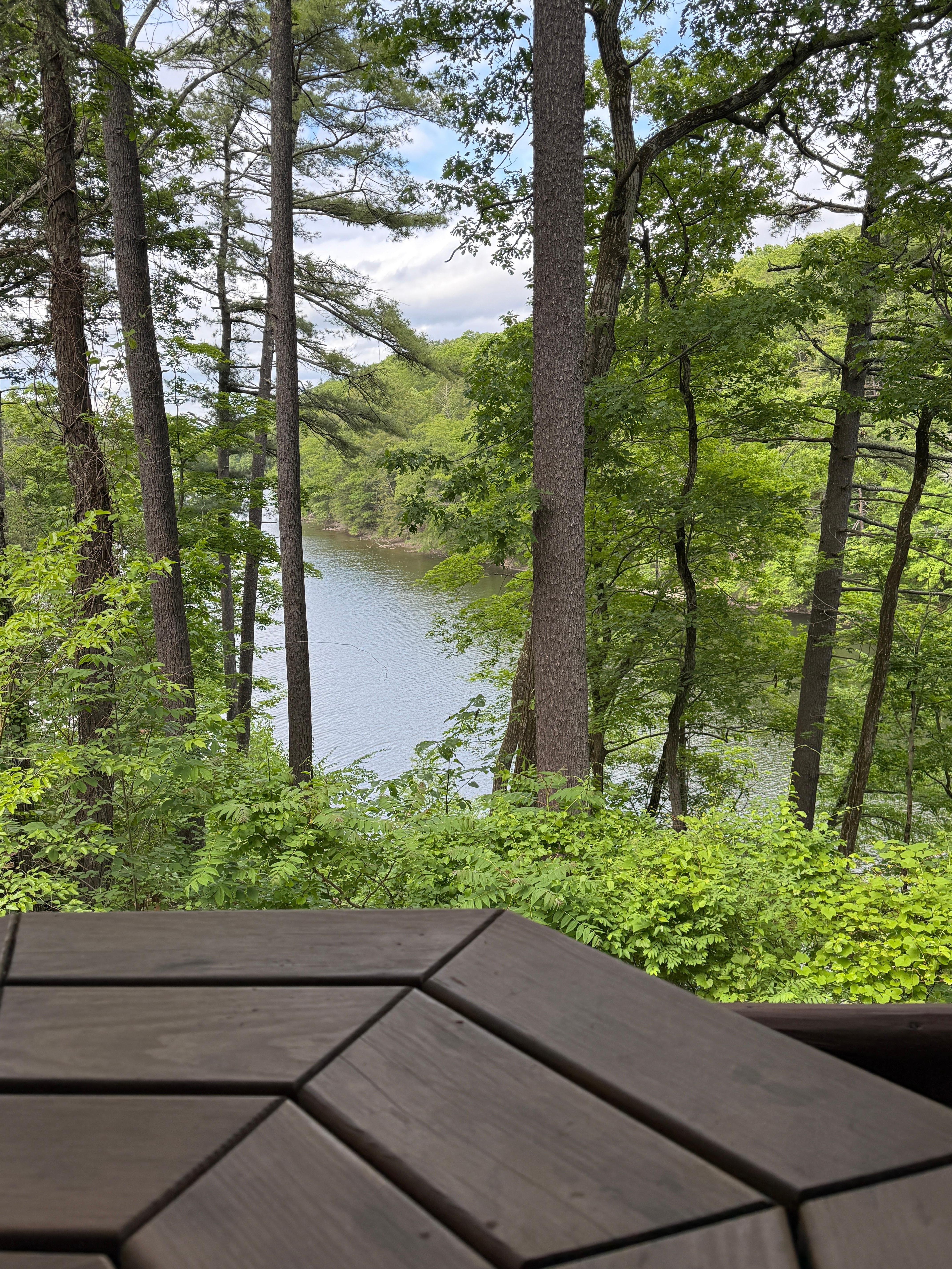 Beautiful view from the front deck. 