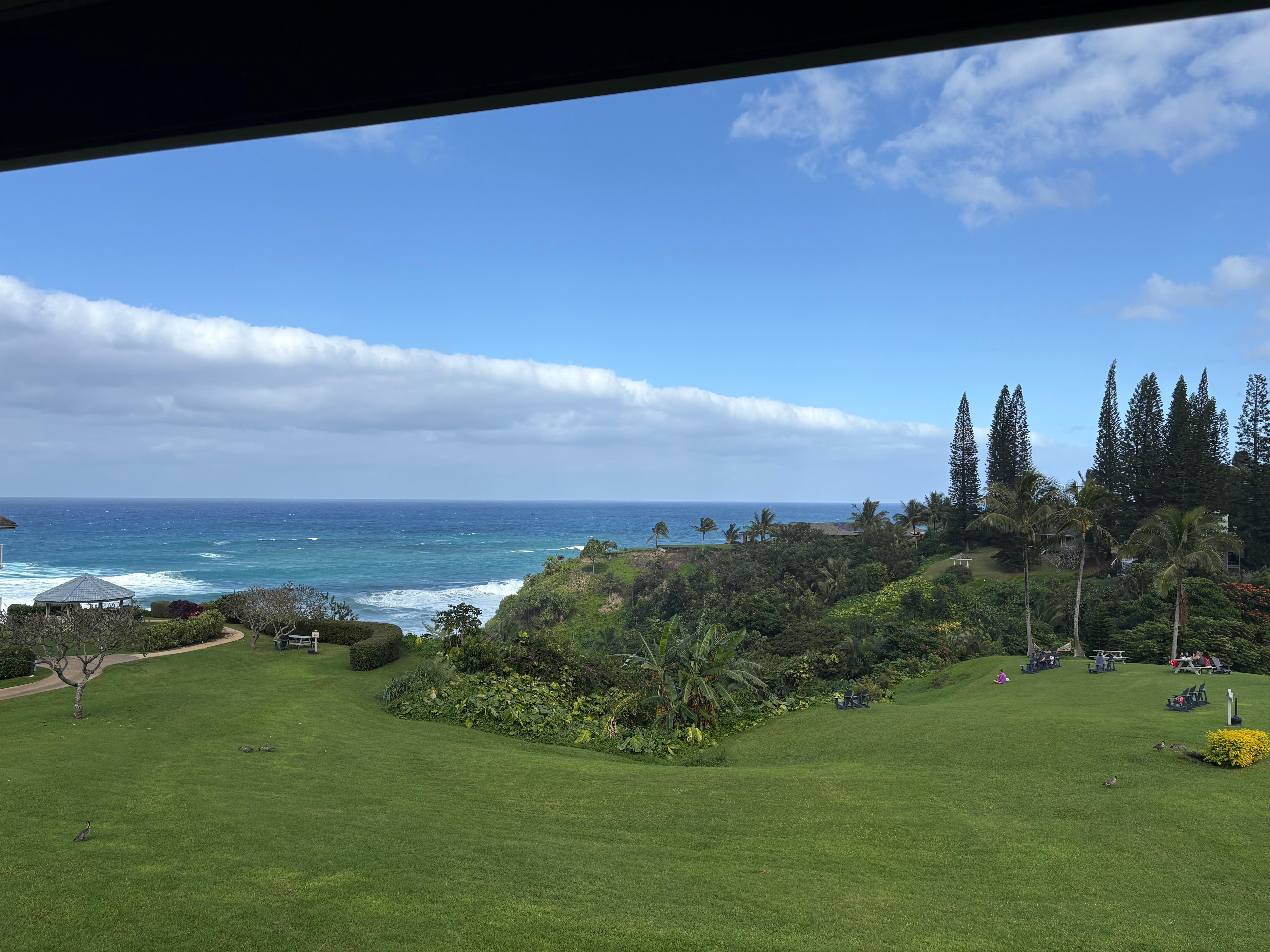 View from lanai