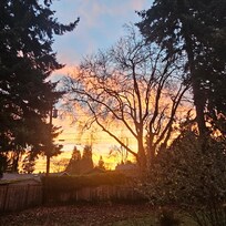 Beautiful sunrise from back porch