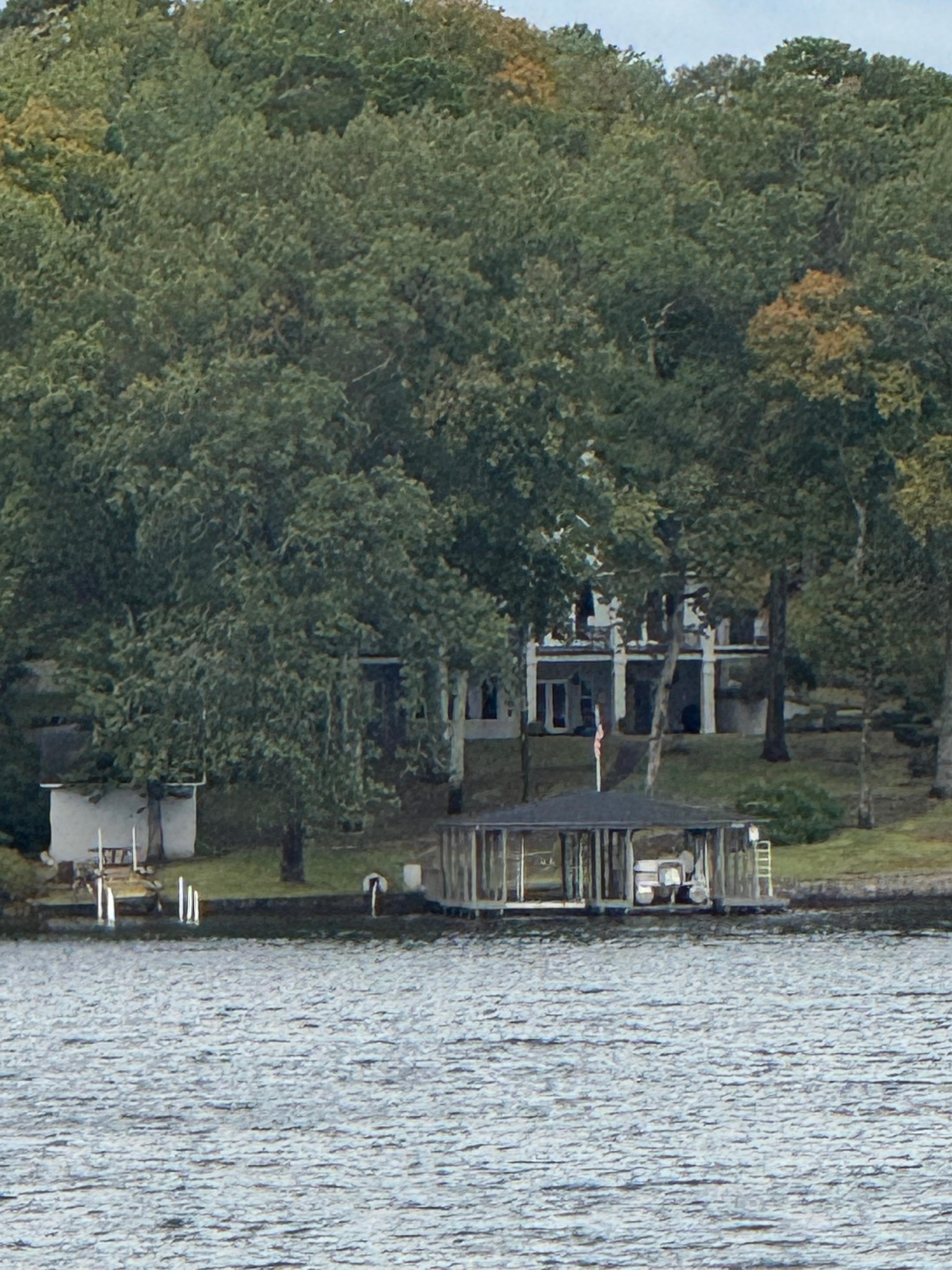 Large beautiful trees