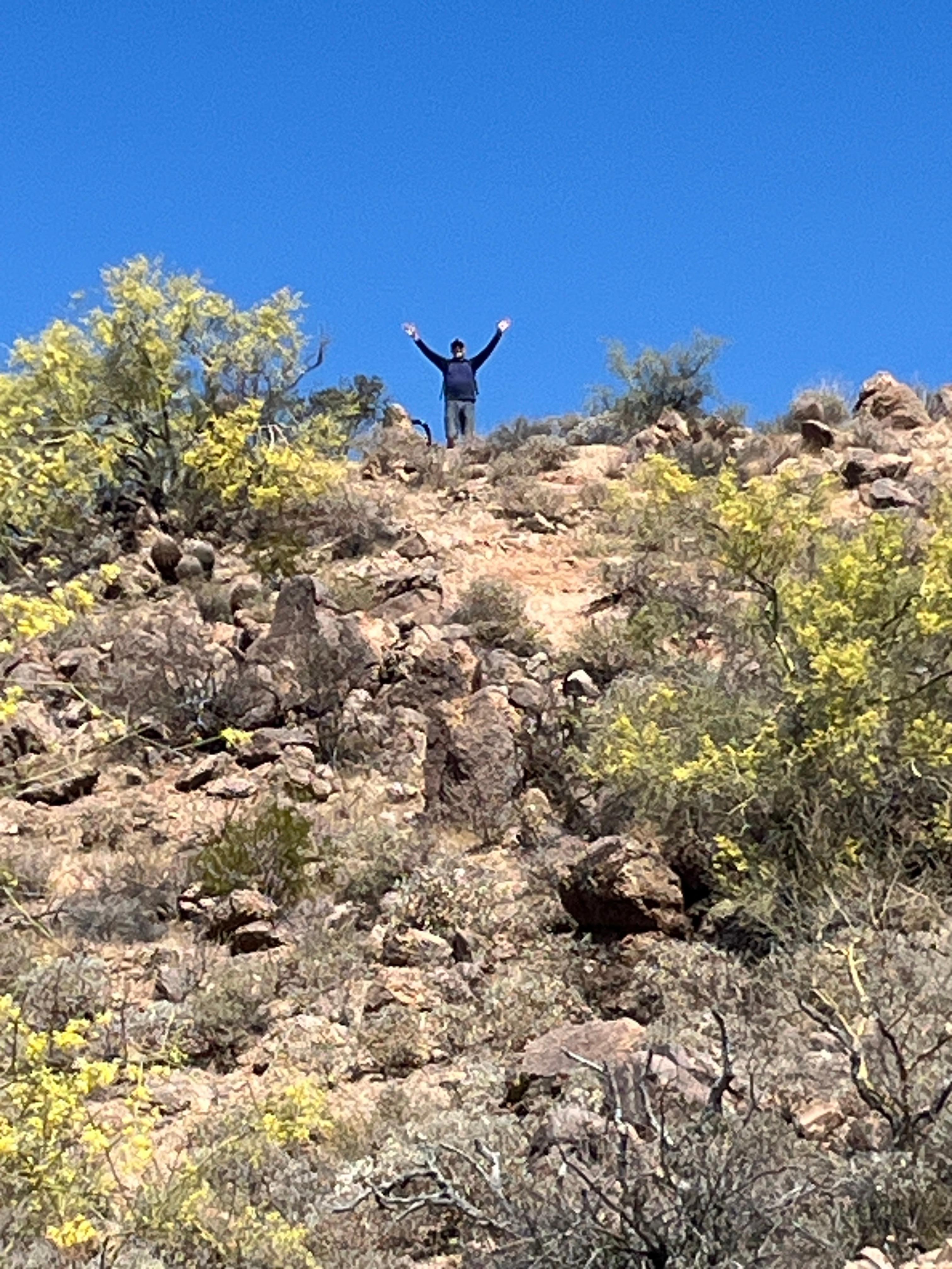 Vista View Trail, Usery Mountain Park