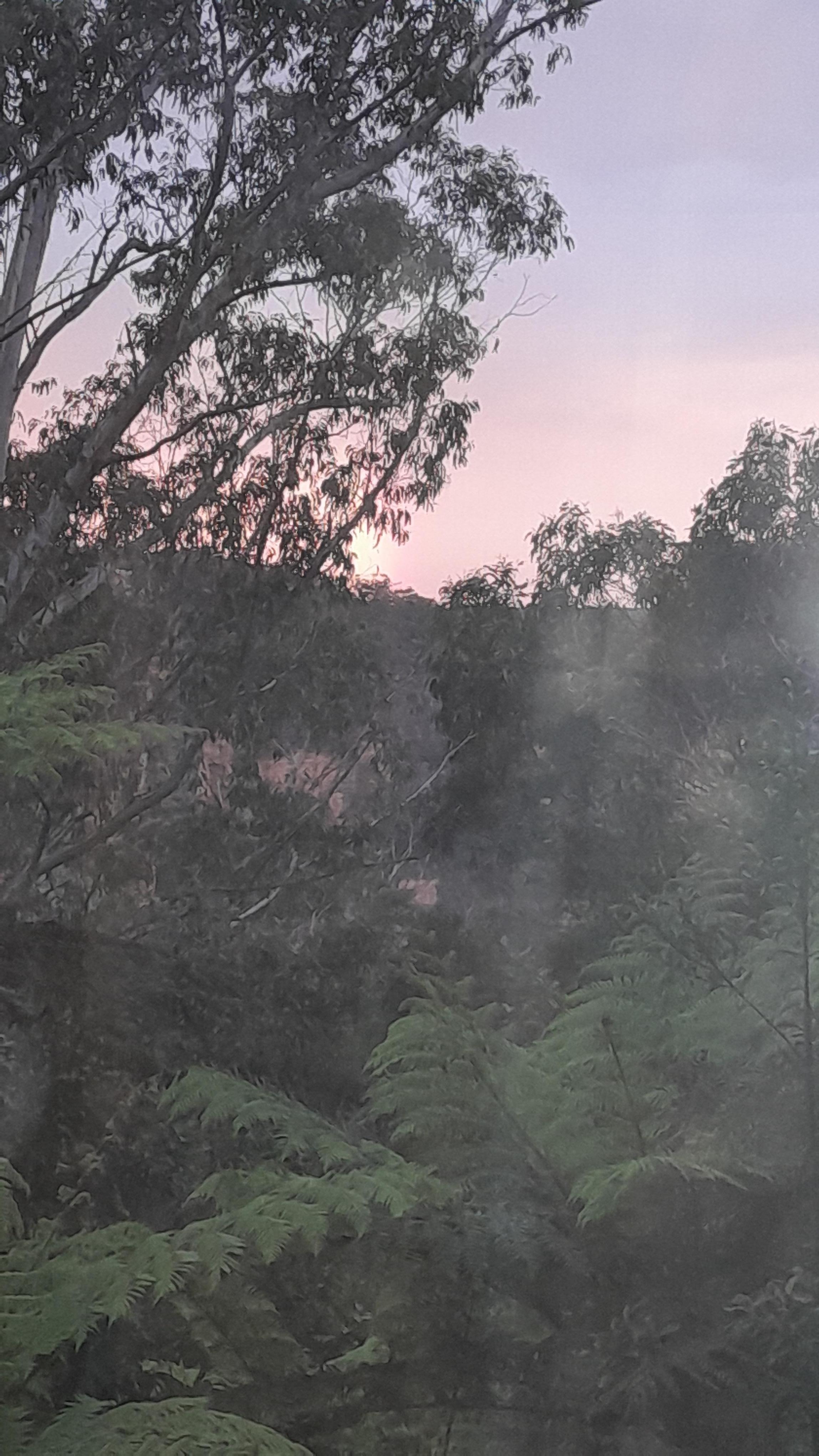 View from lounge room