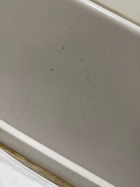 Urine splash residue in the shower