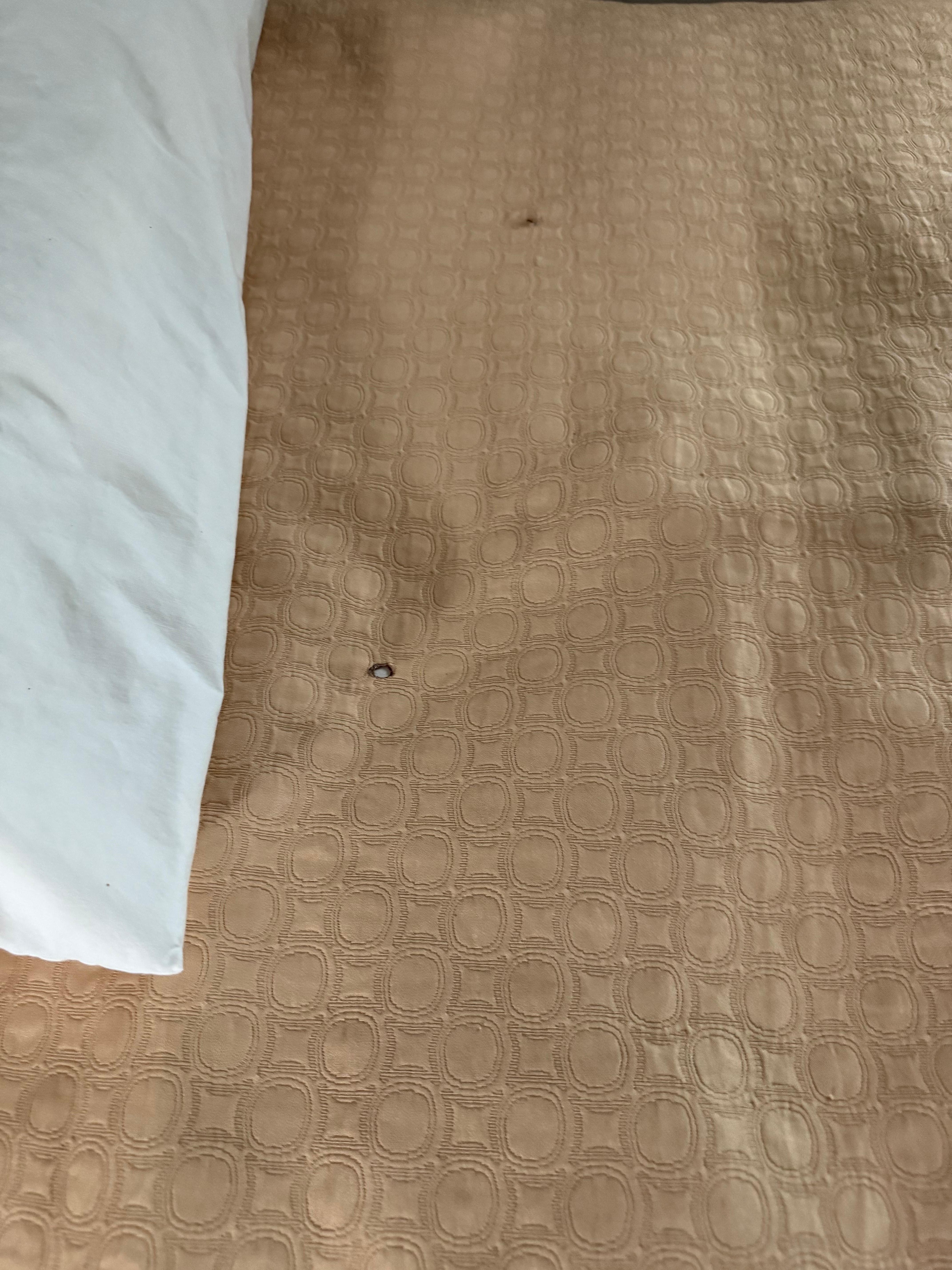 cigarette burn holes & cuts in bedding 
