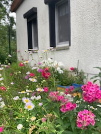 Idylle am Haus