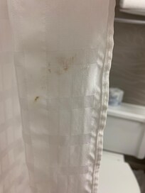 Dirty shower curtain