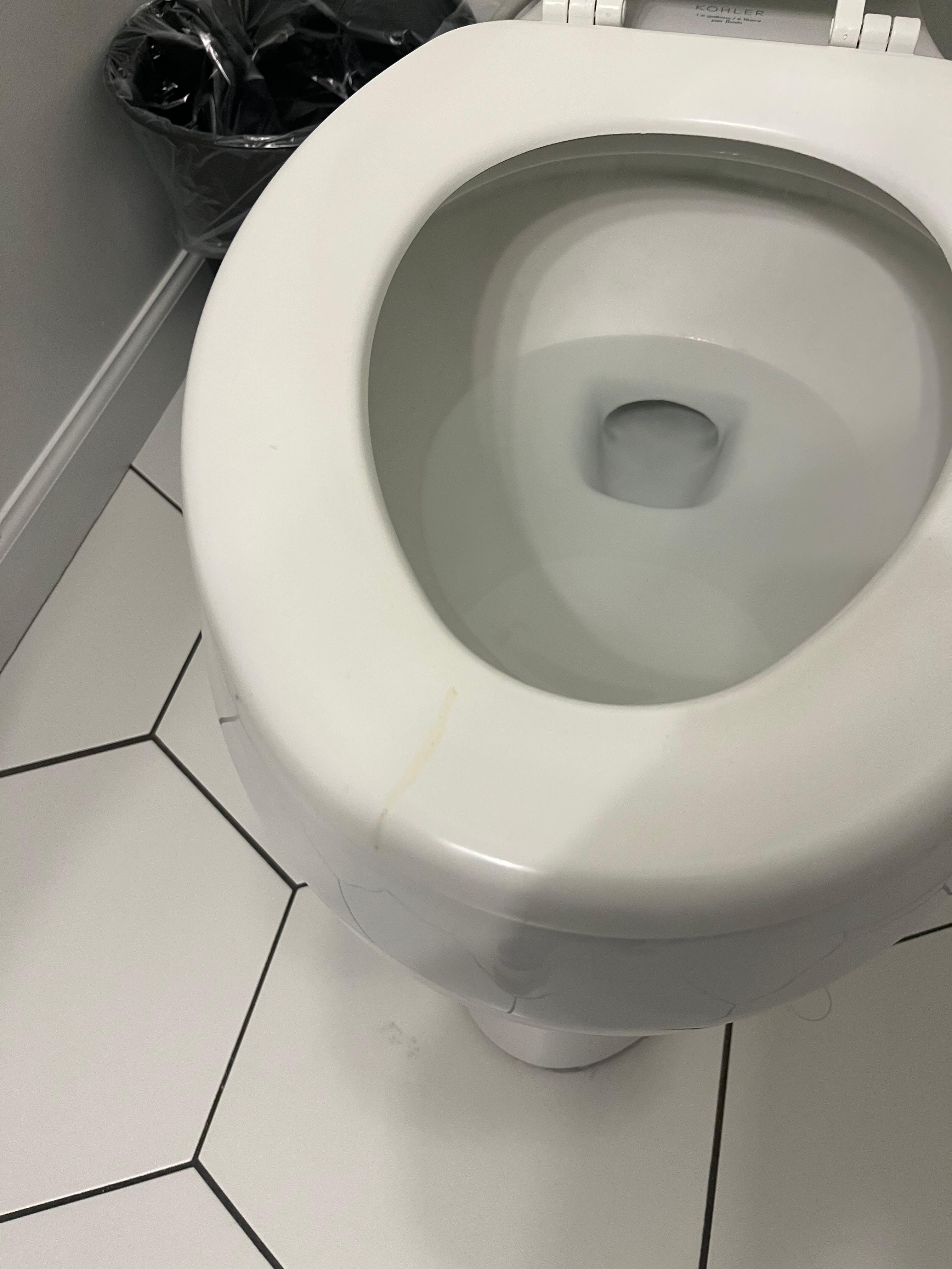 Urine Toliet