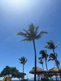 On my lounge chair; not a cloud in the sky!