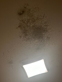 Mold on ceiling