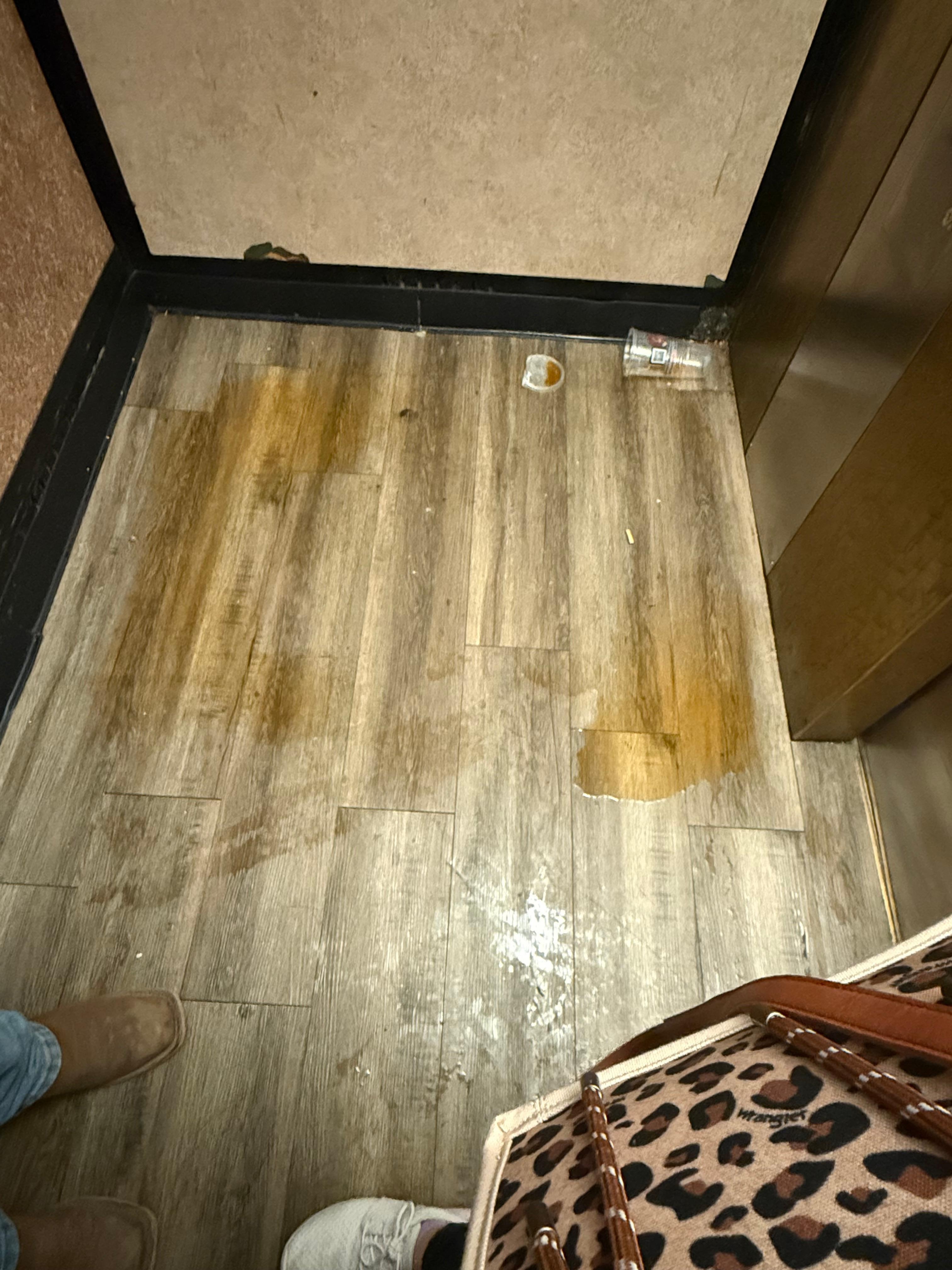 This was the elevator, this is a spilled cup of tea that was there for half our stay.