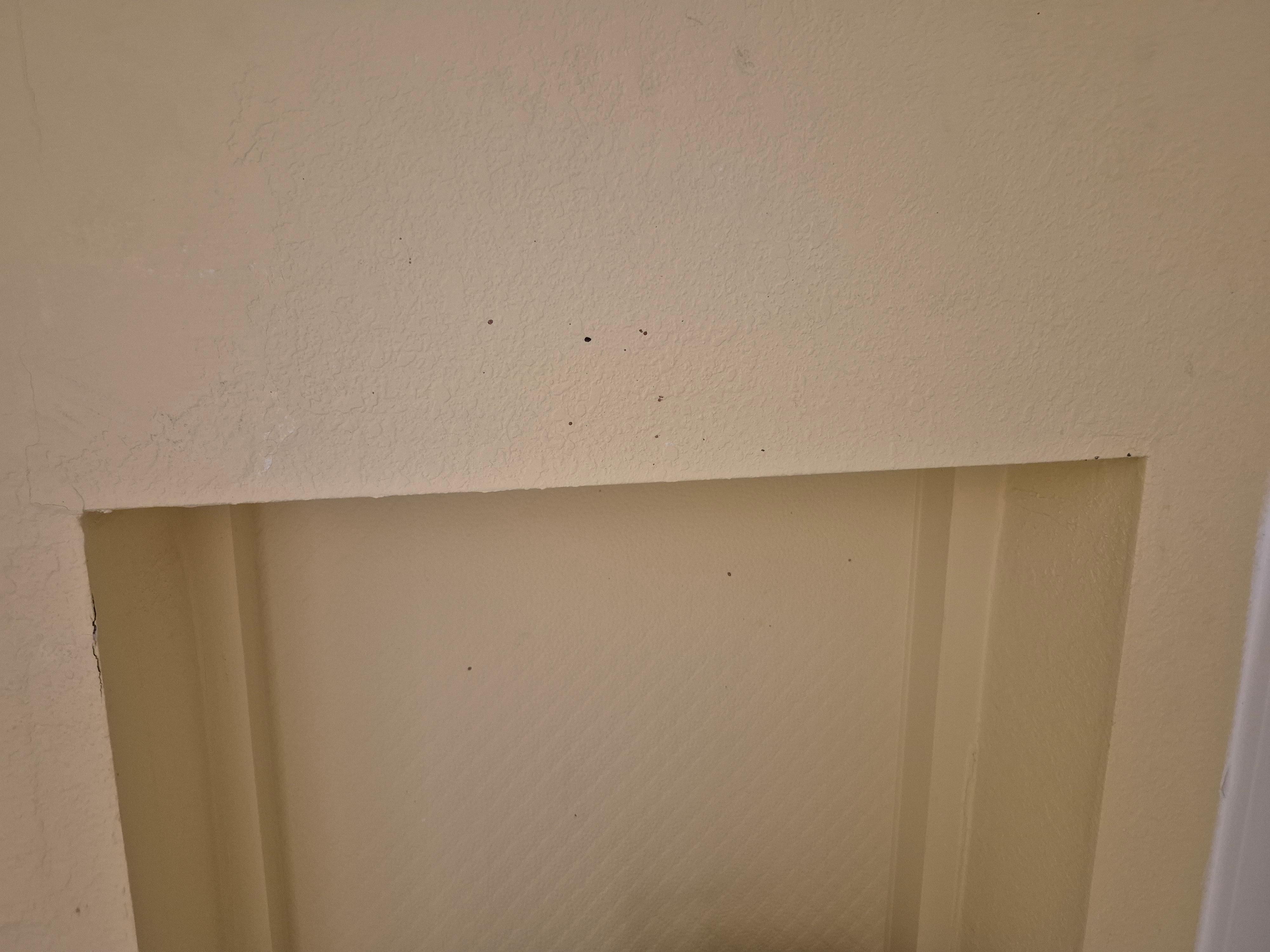 Blood splatter in the bathroom above the toilet