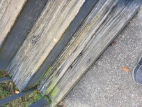 Rotted front steps with exposed screws