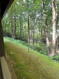 View from side porch looking down to the stream.