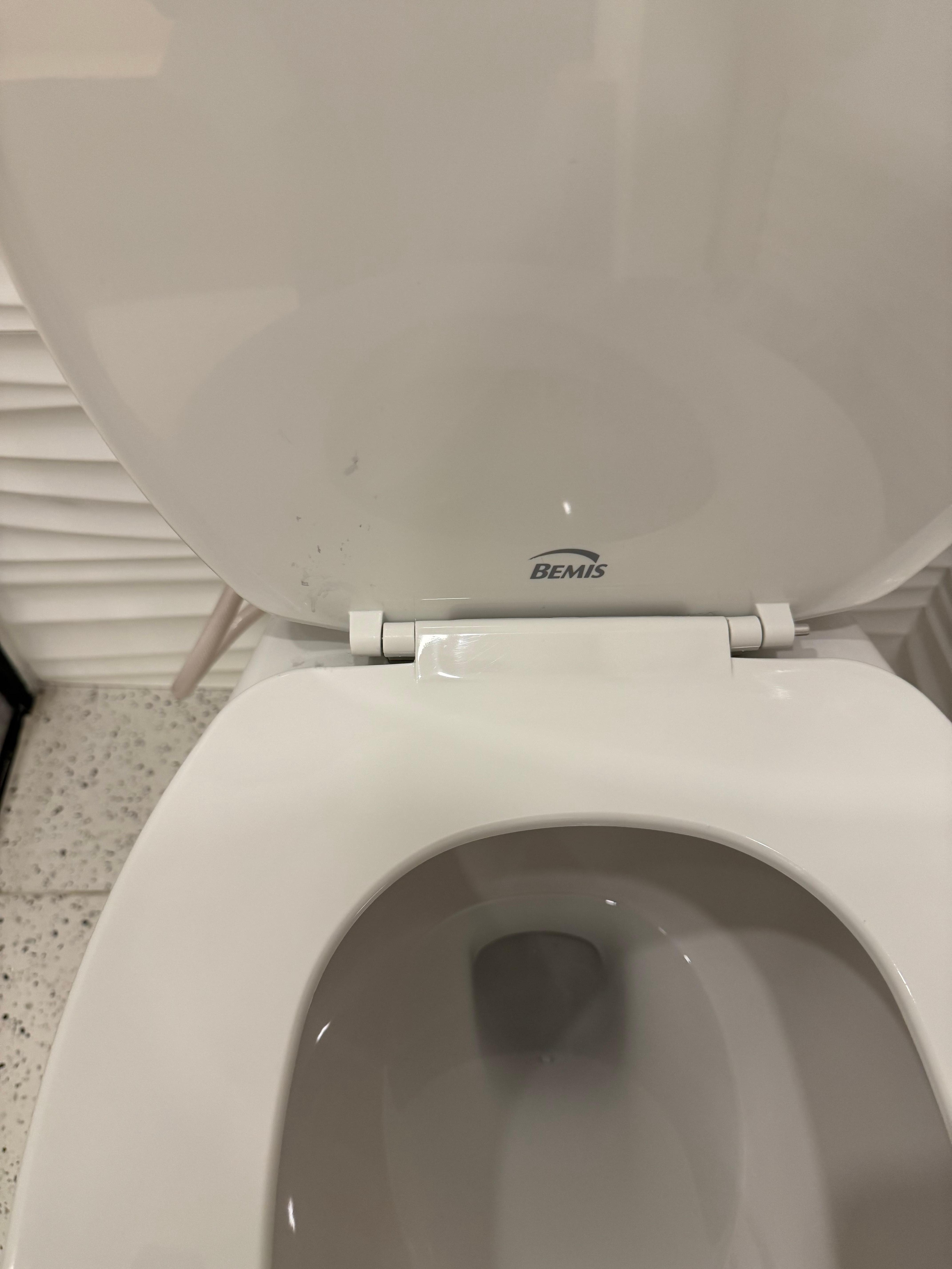 Cleaning products left on toilet seat