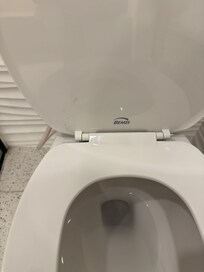 Cleaning products left on toilet seat