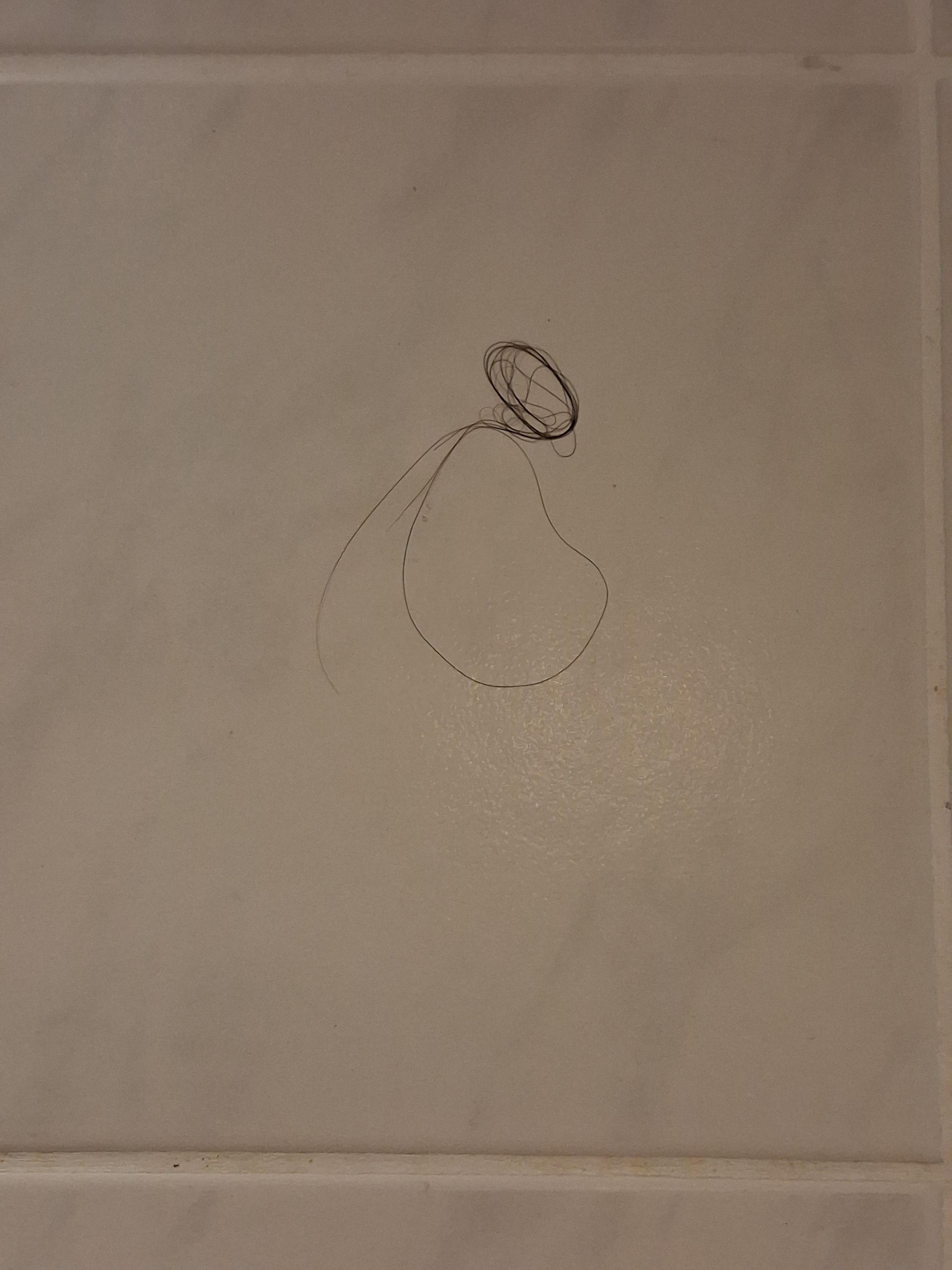 Hair on shower wall