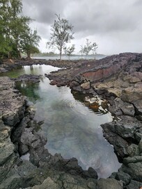 Across the street from rental property