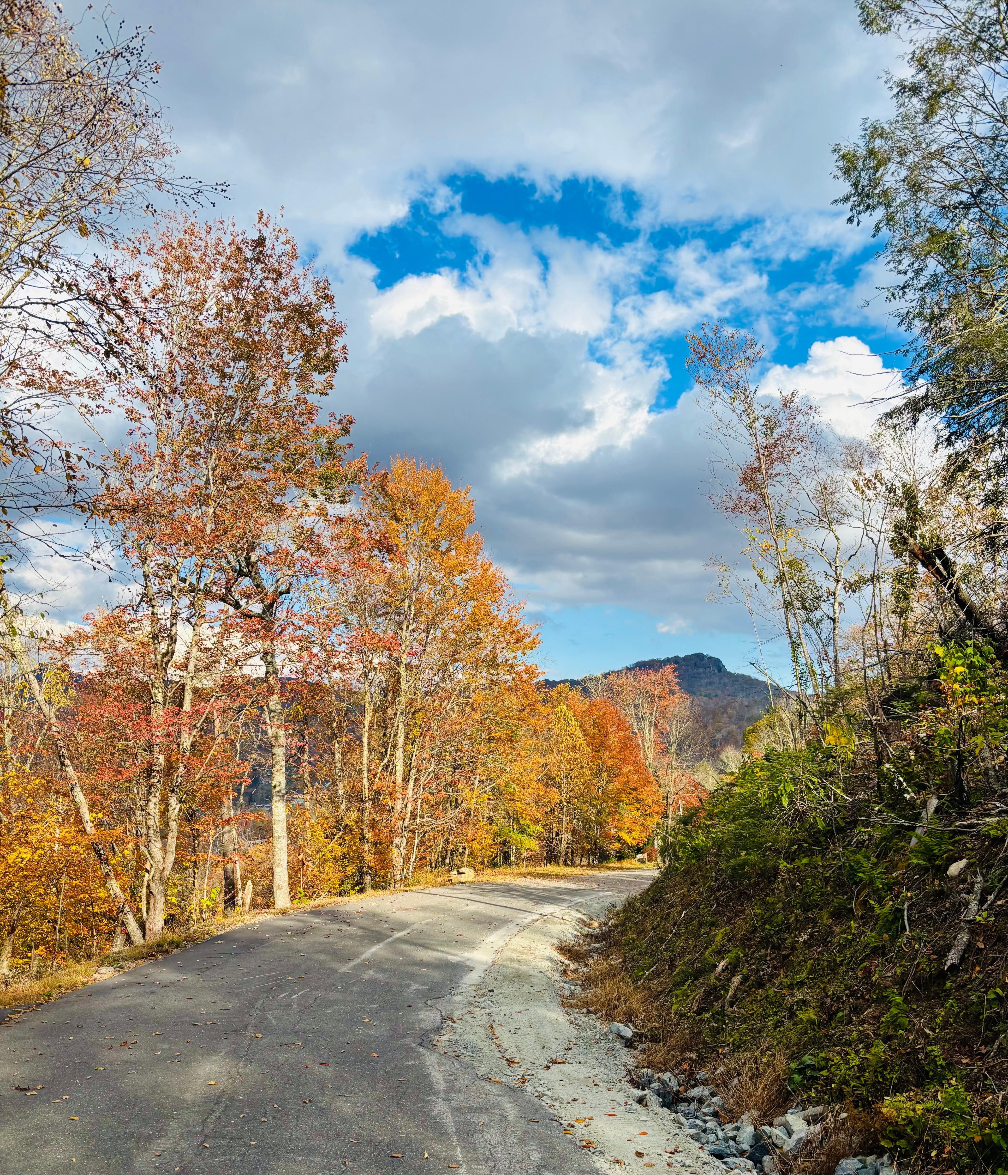 View from end of road- walking down towards chalet.  