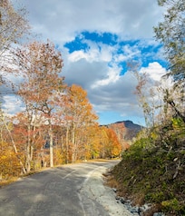View from end of road- walking down towards chalet.