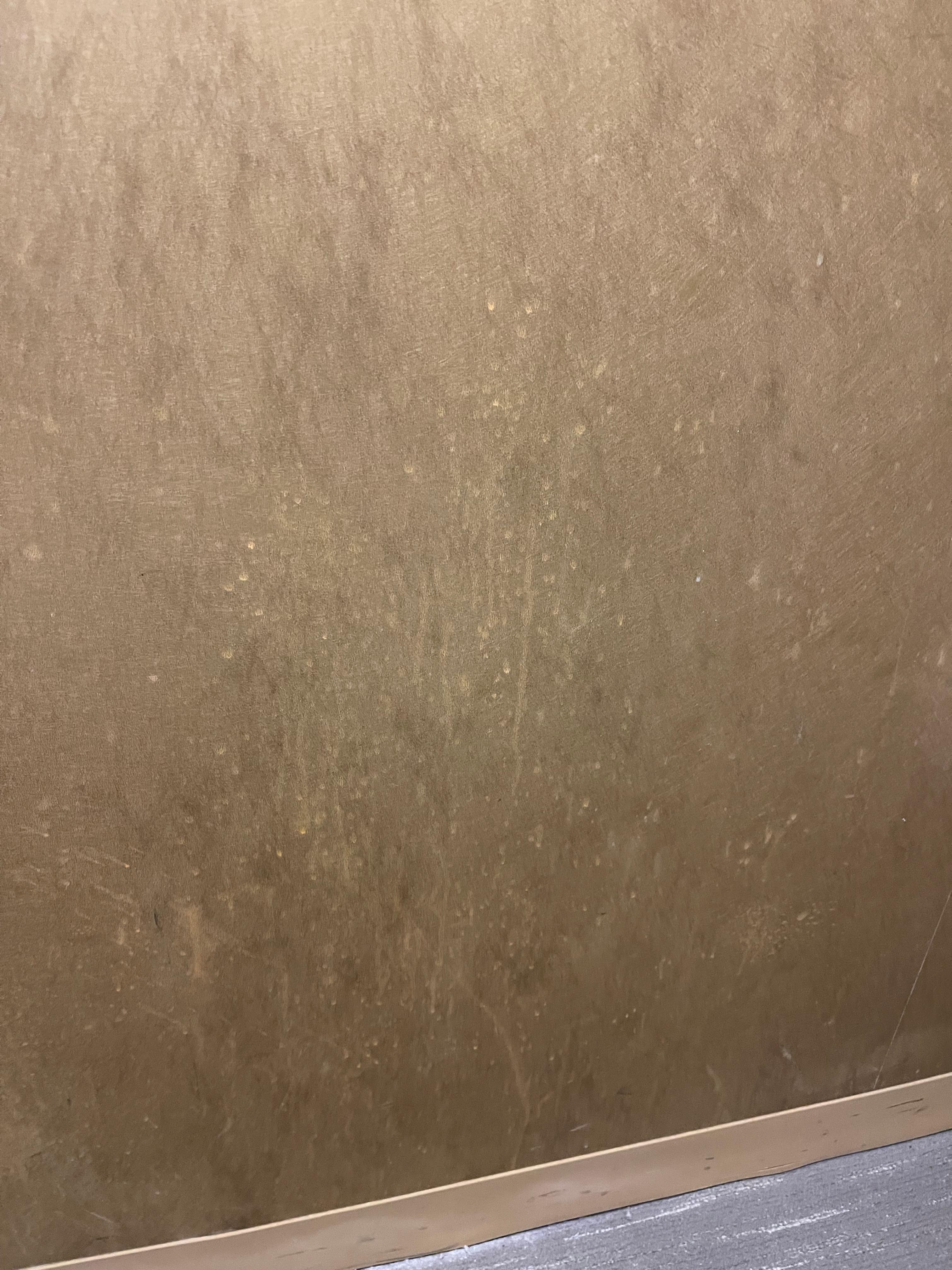 What is all over the wall??