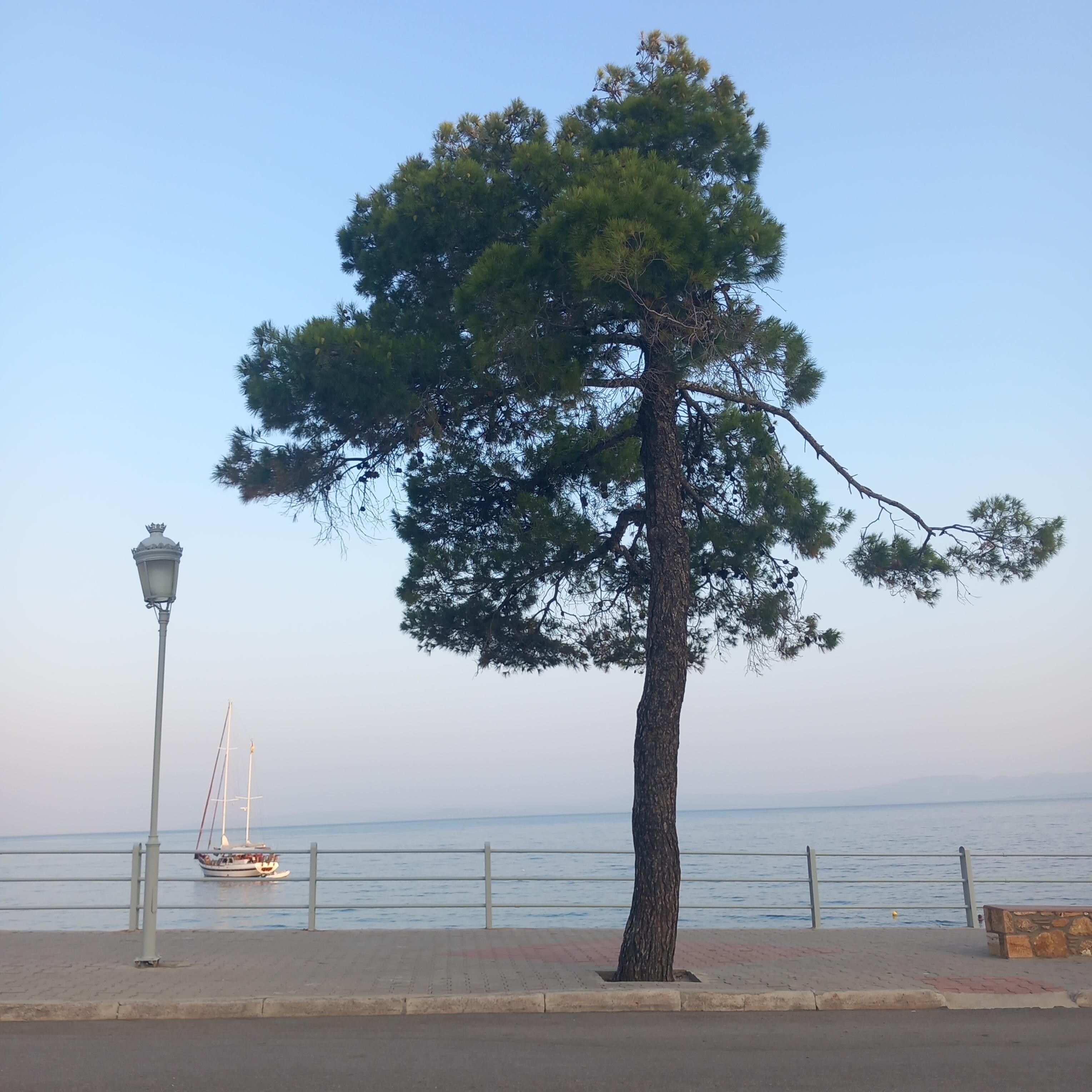 Promenade.