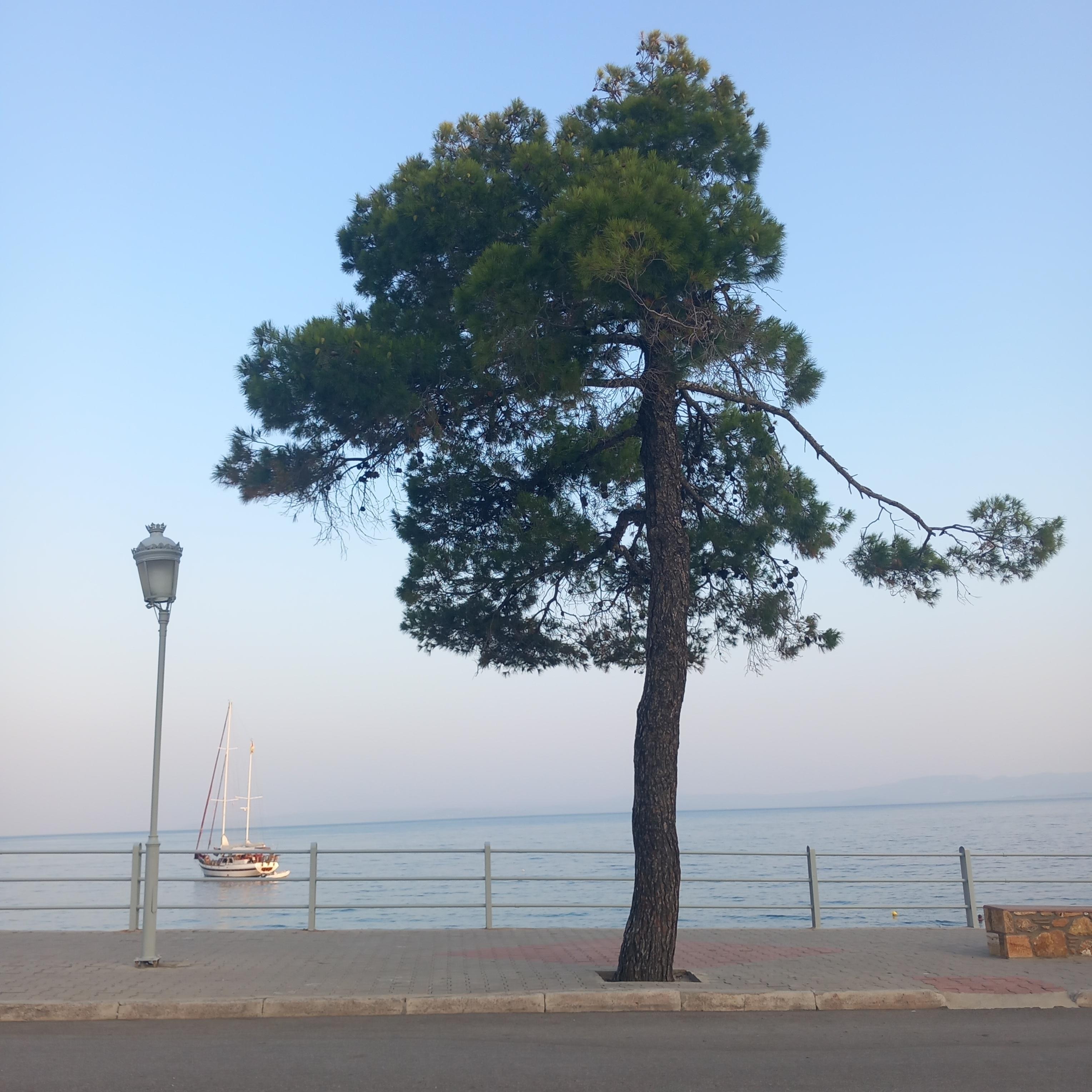 Promenade.