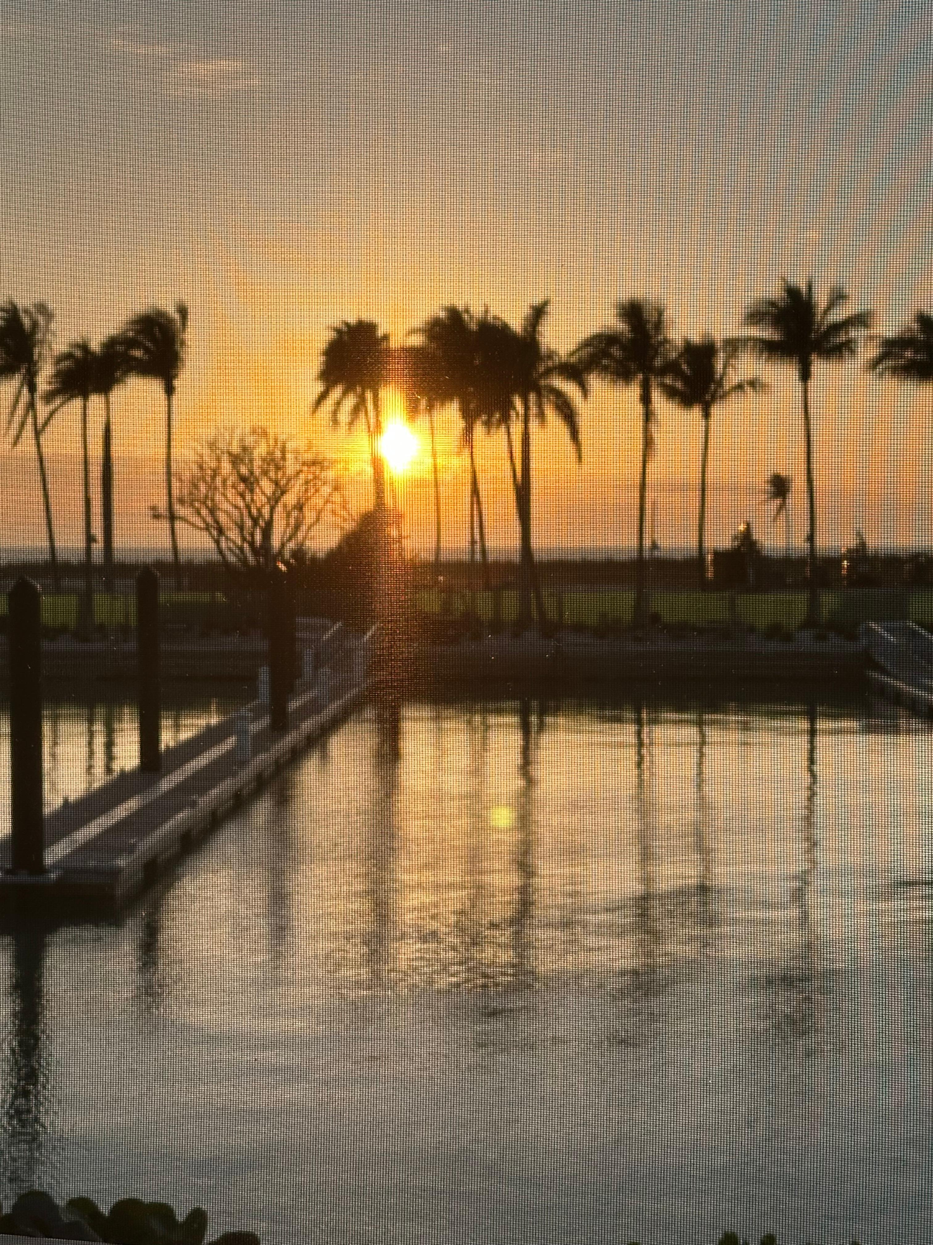 Another sunset photo from the condo!