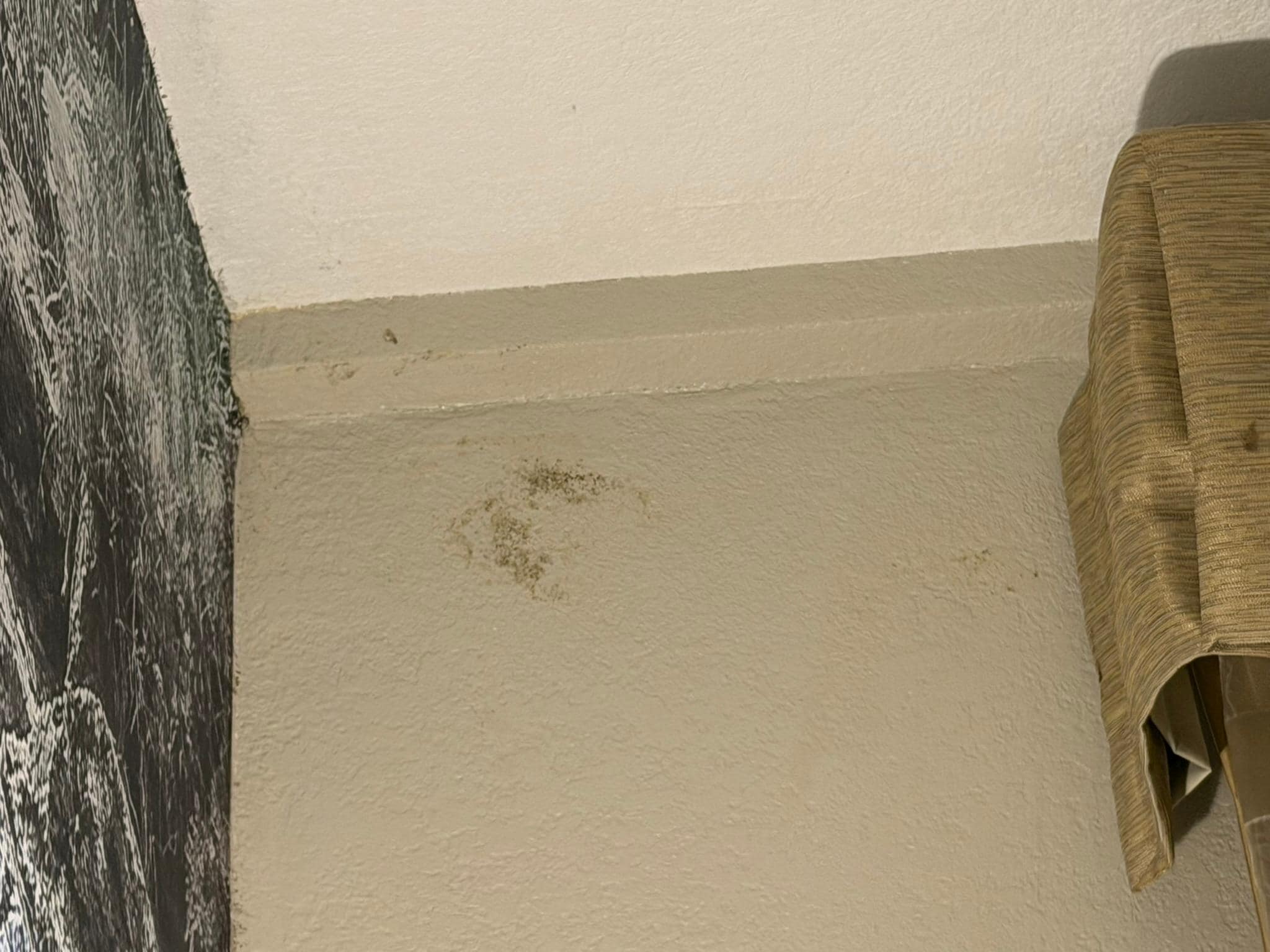 Mold on the wall in the main part of the room