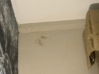 Mold on the wall in the main part of the room