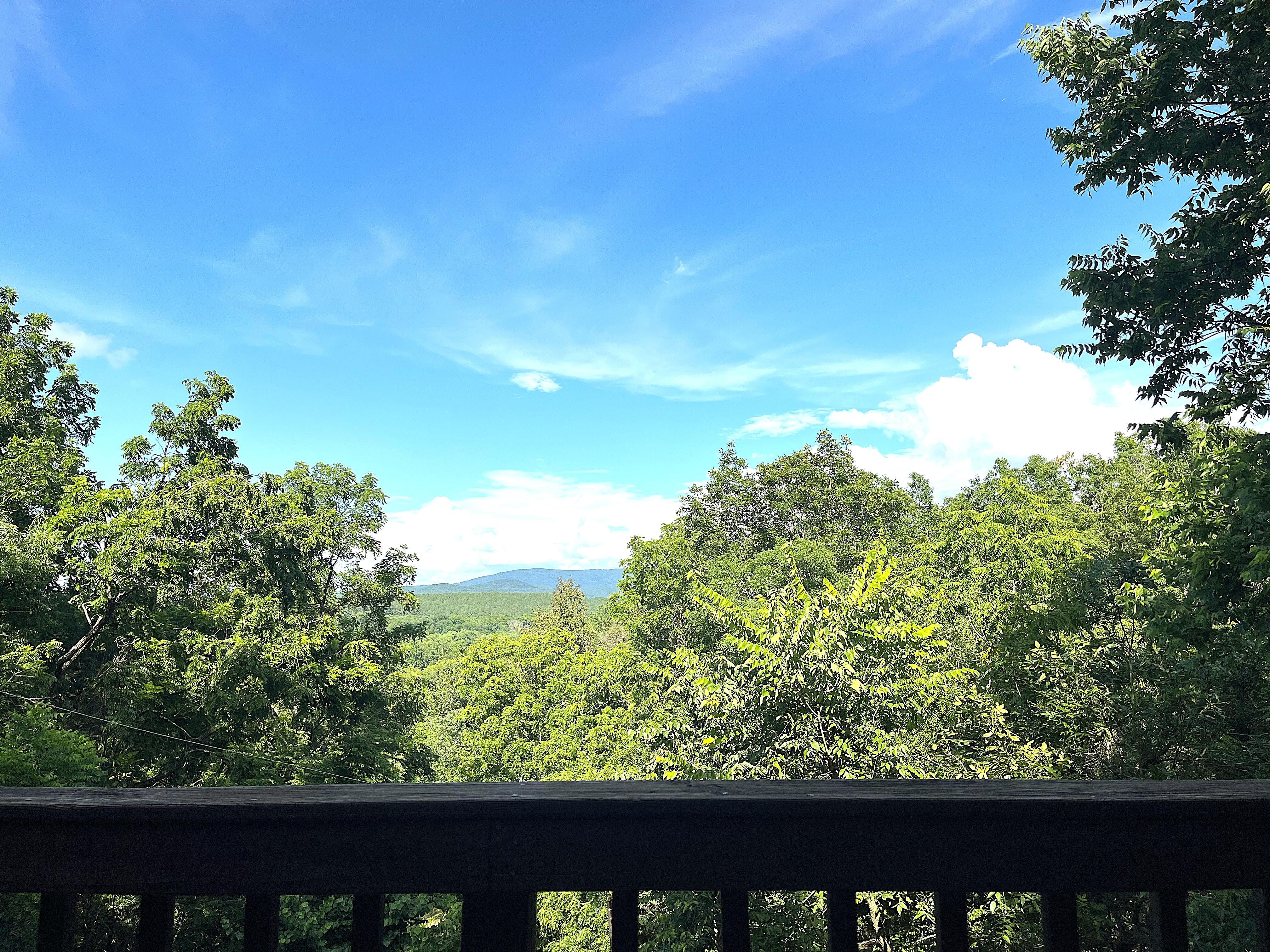 View from the deck of The Chalet on a sunny afternoon