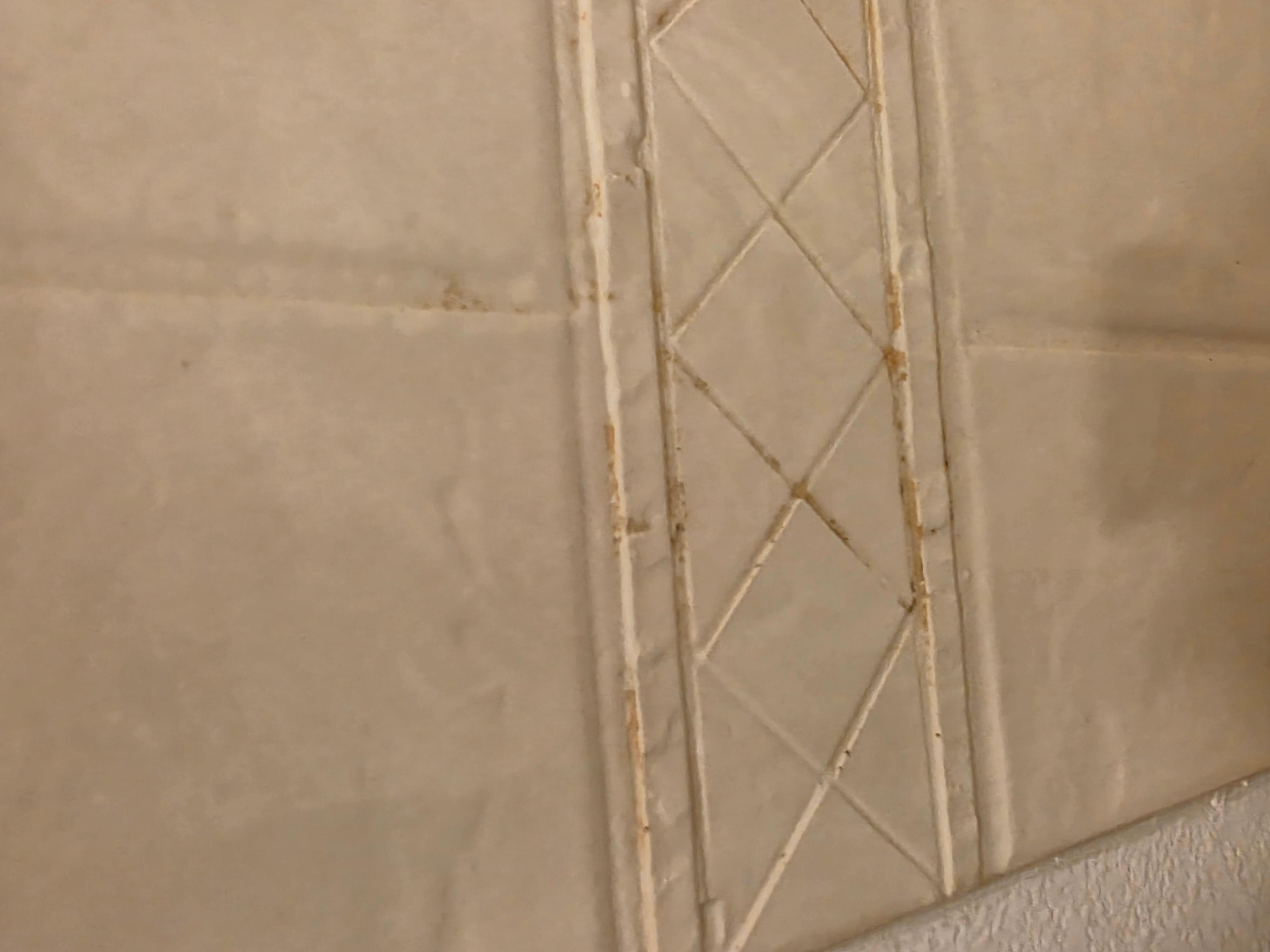 Shower wall had nasty stuff all over it