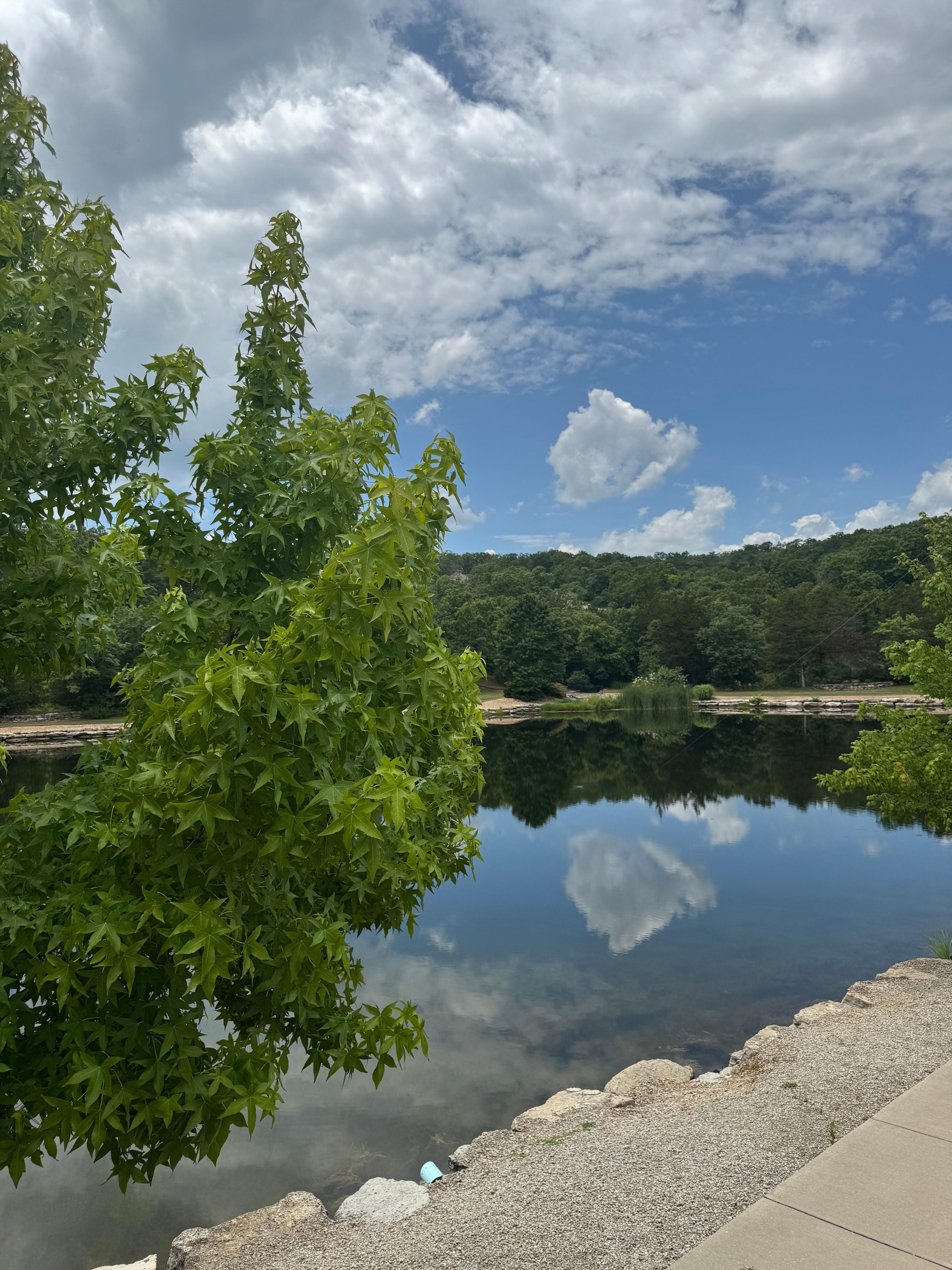 Fishing pond adjacent to the Salt water pool