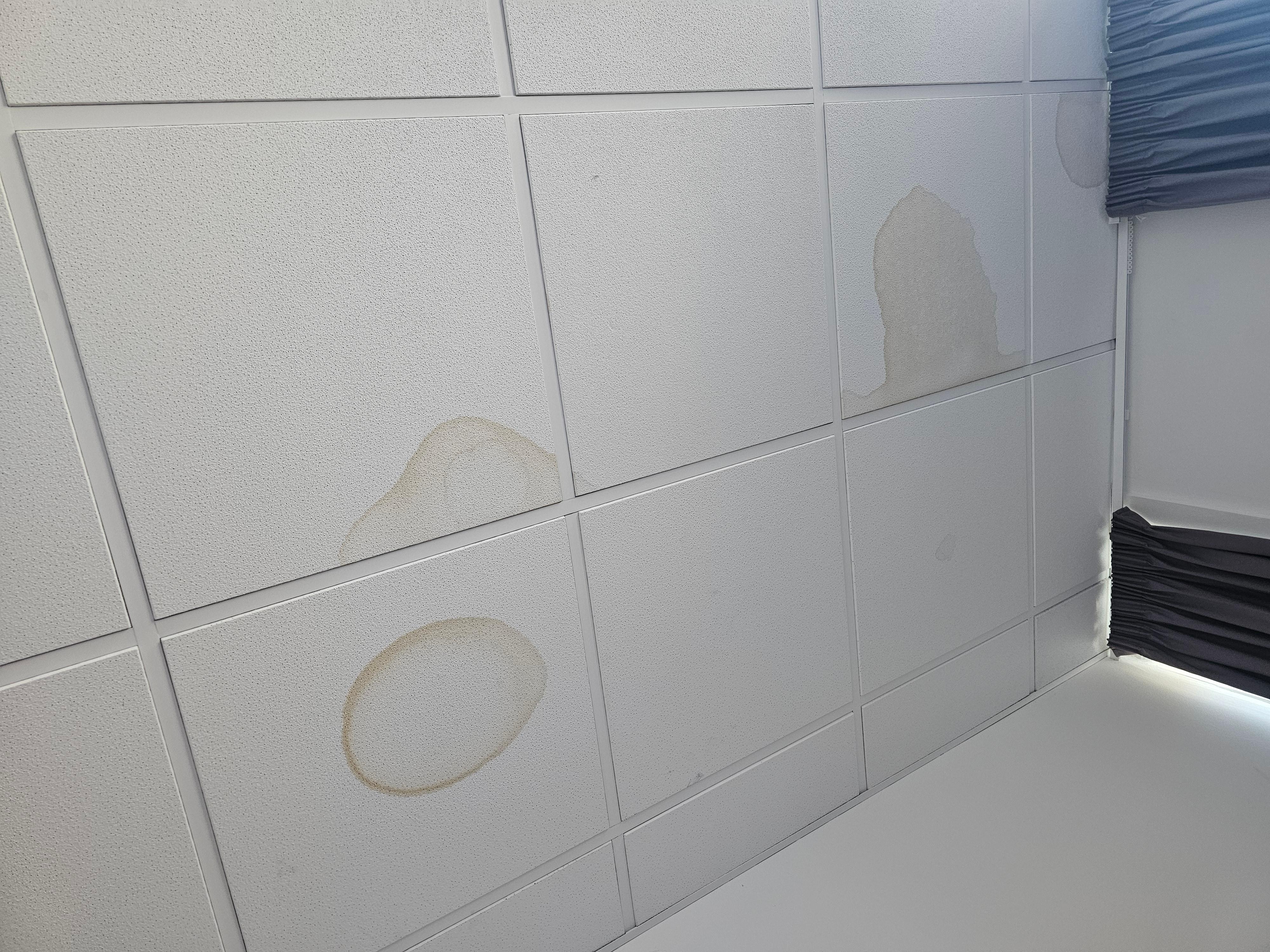 Ceiling stains