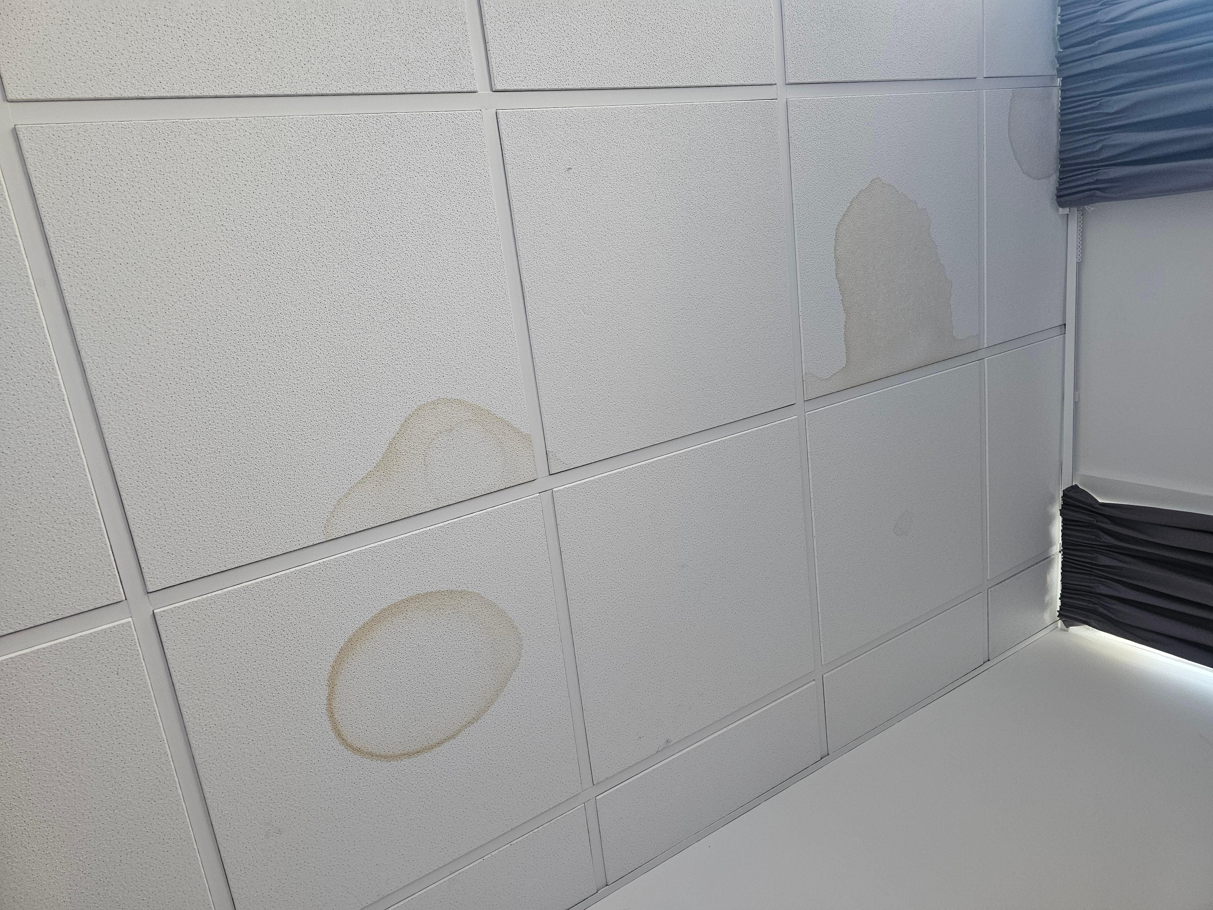 Ceiling stains