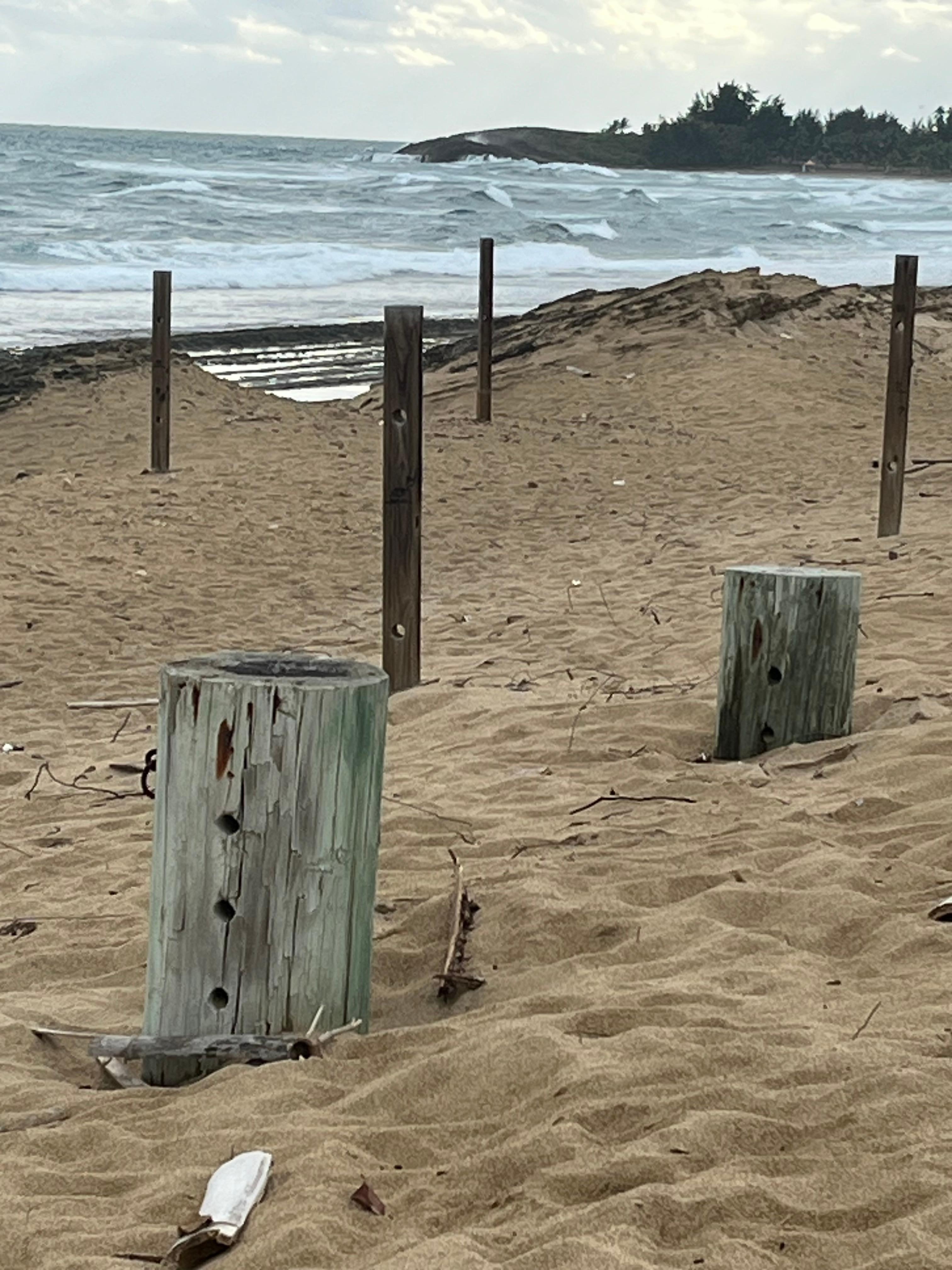 Beach in front of condos