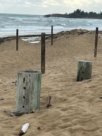 Beach in front of condos