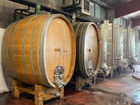 Wine tour