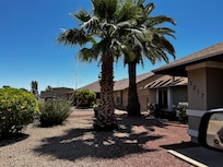 Front yard