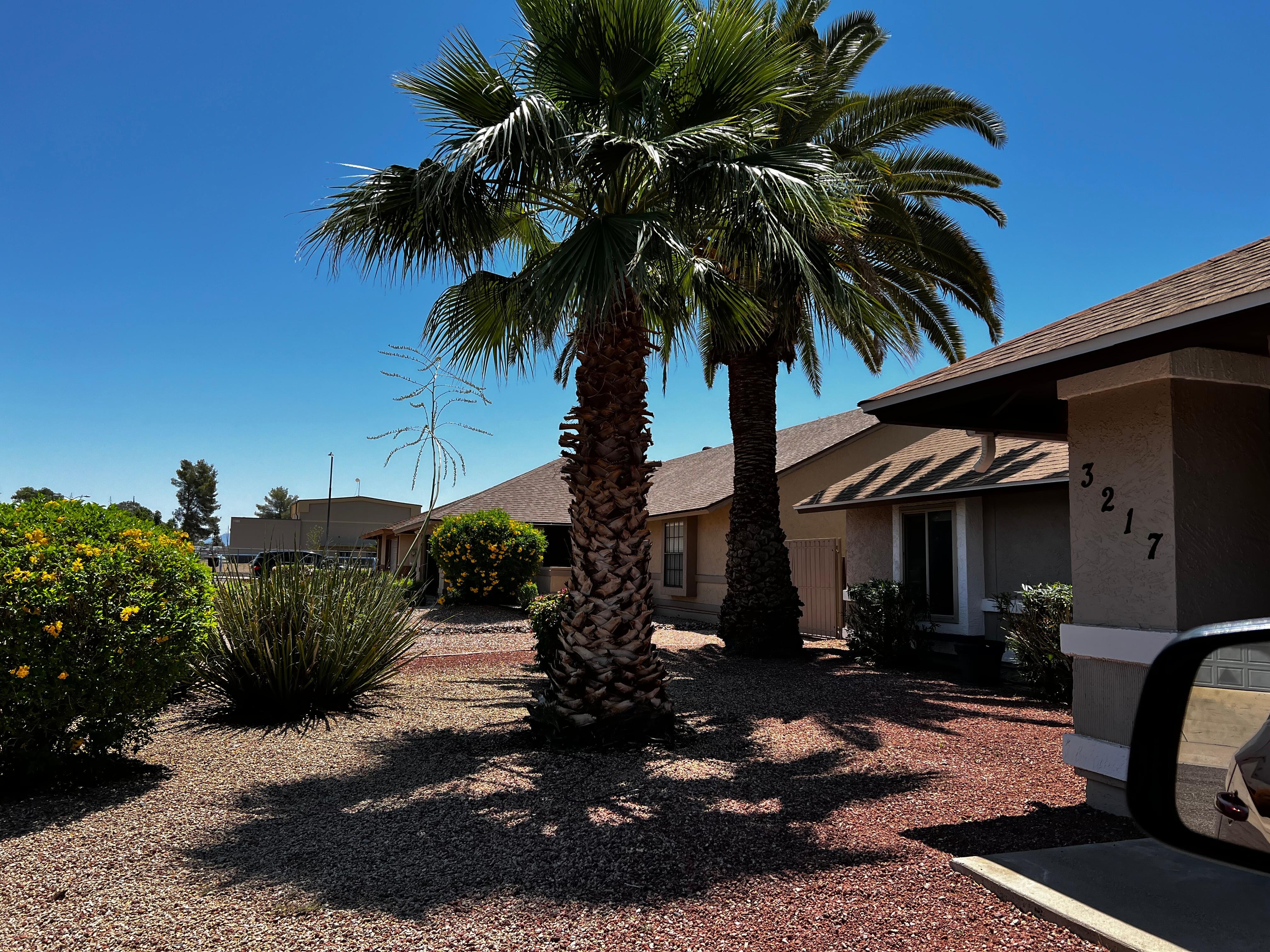 Front yard