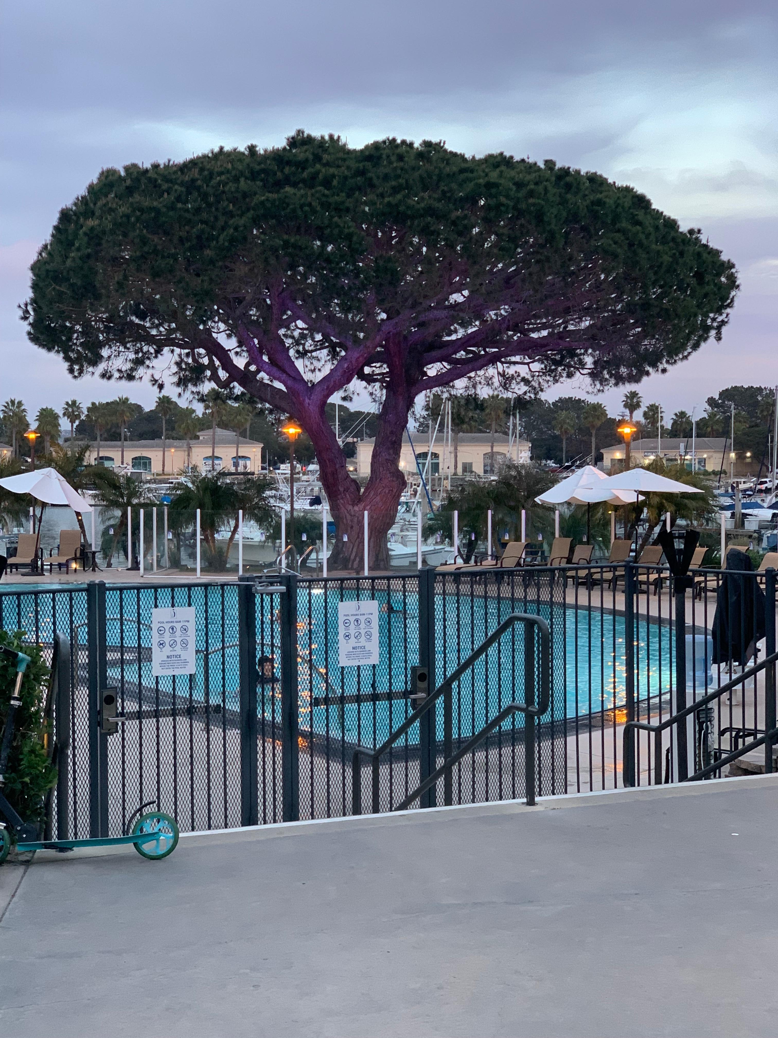 View of the pool… love it