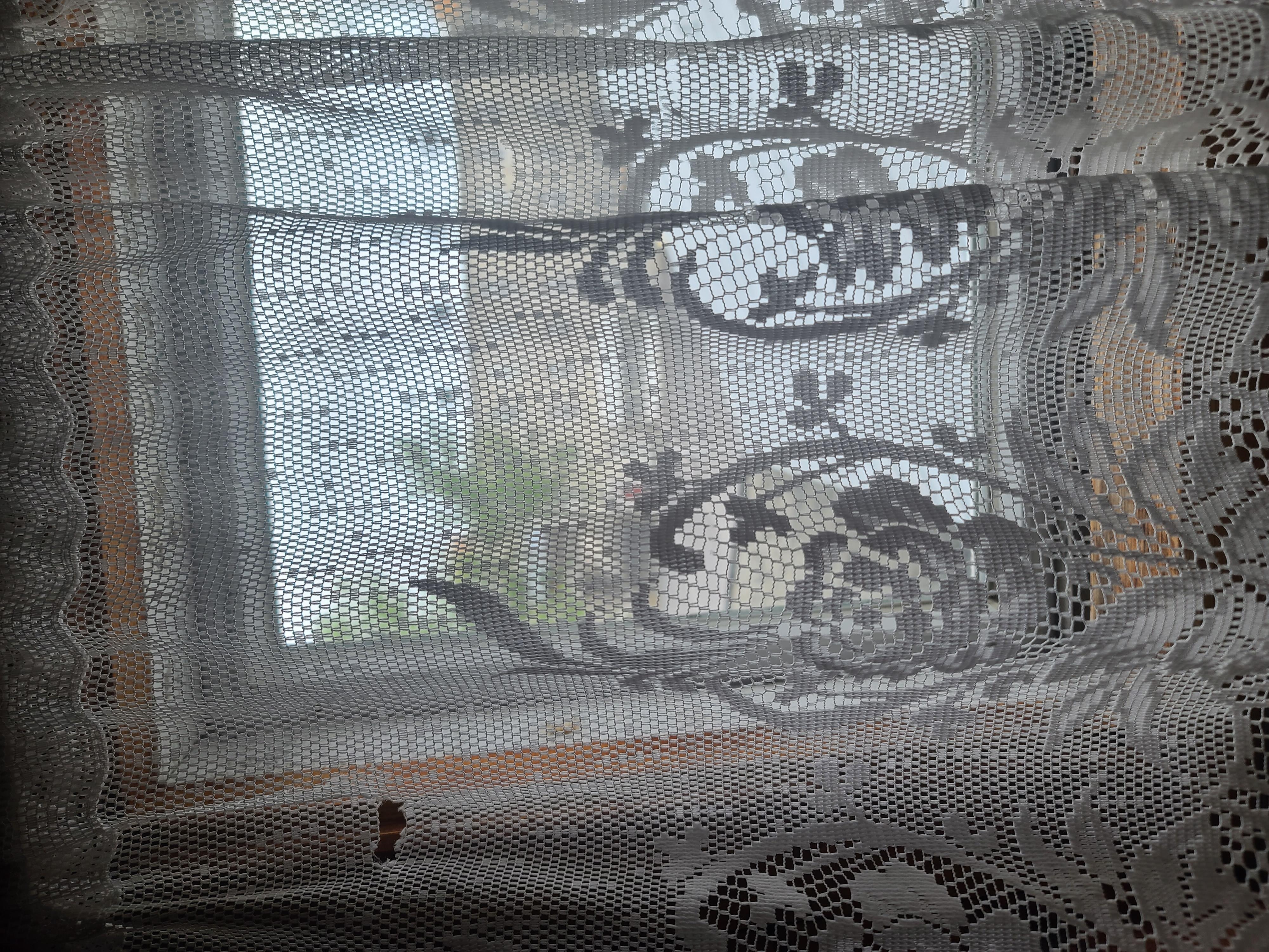 View from Bathroom in room 27 through lace curtains