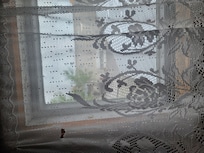 View from Bathroom in room 27 through lace curtains