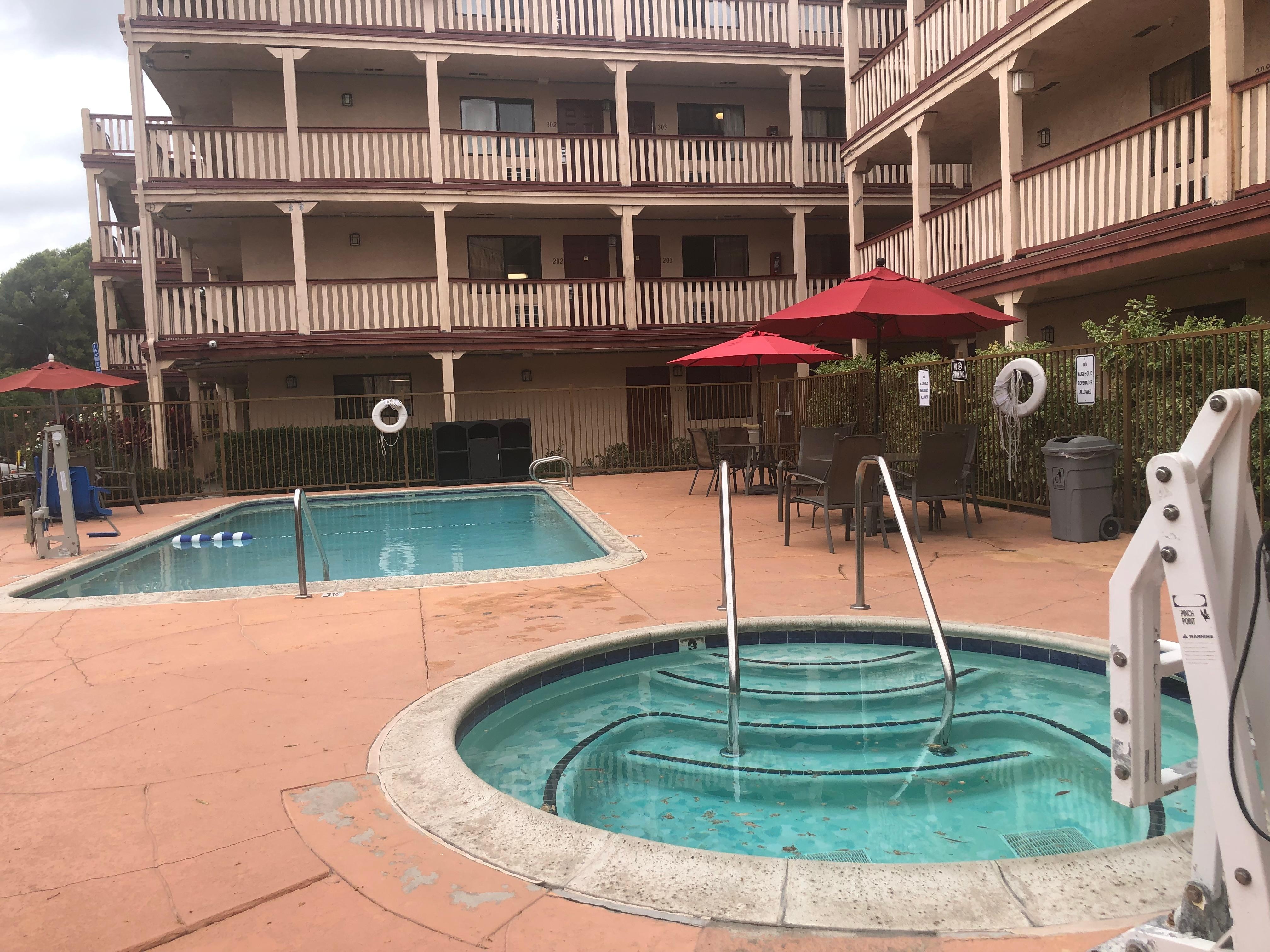 Clean swimming pool & it’s surrounded with green plantation