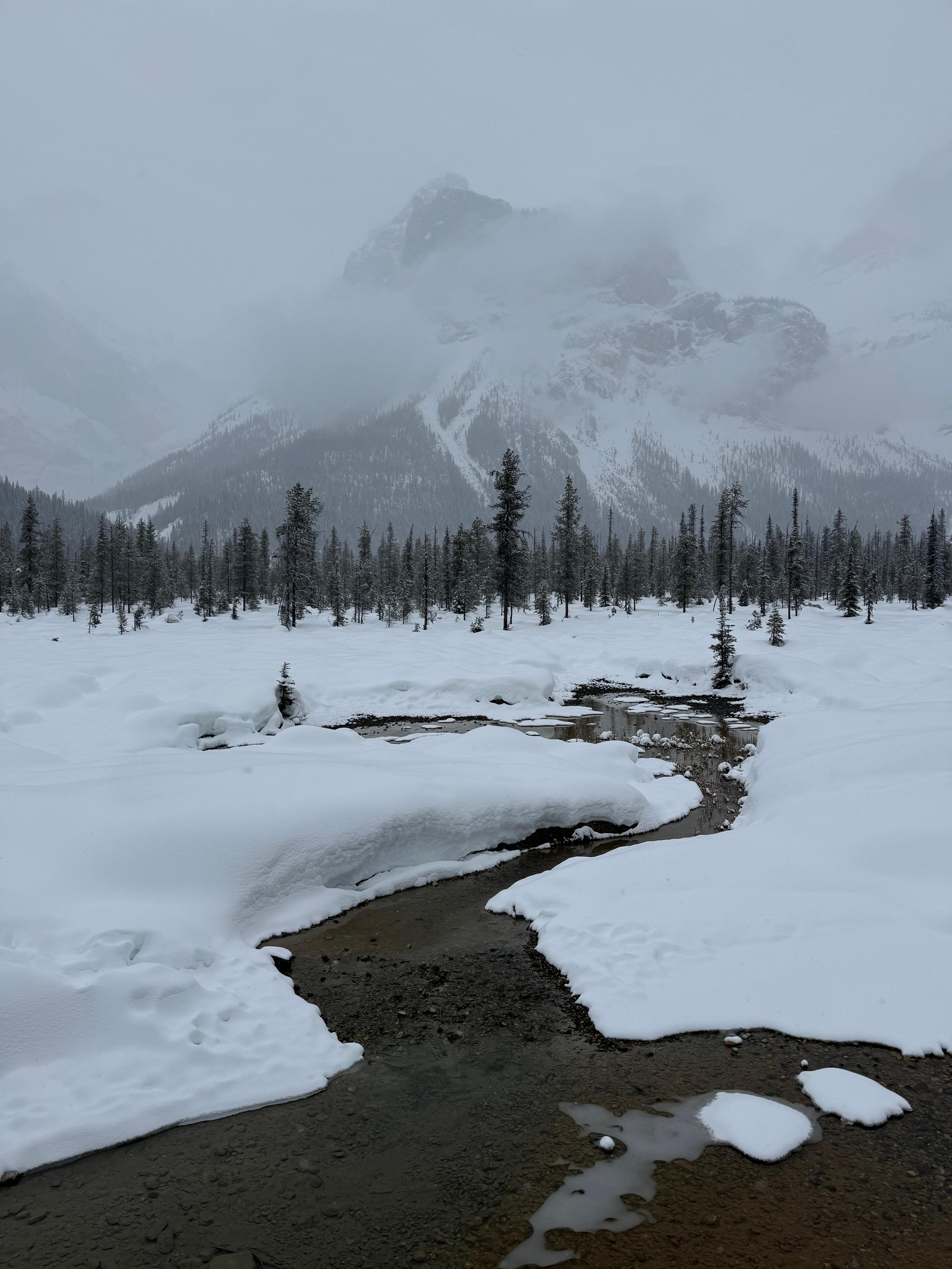 View of room from trail